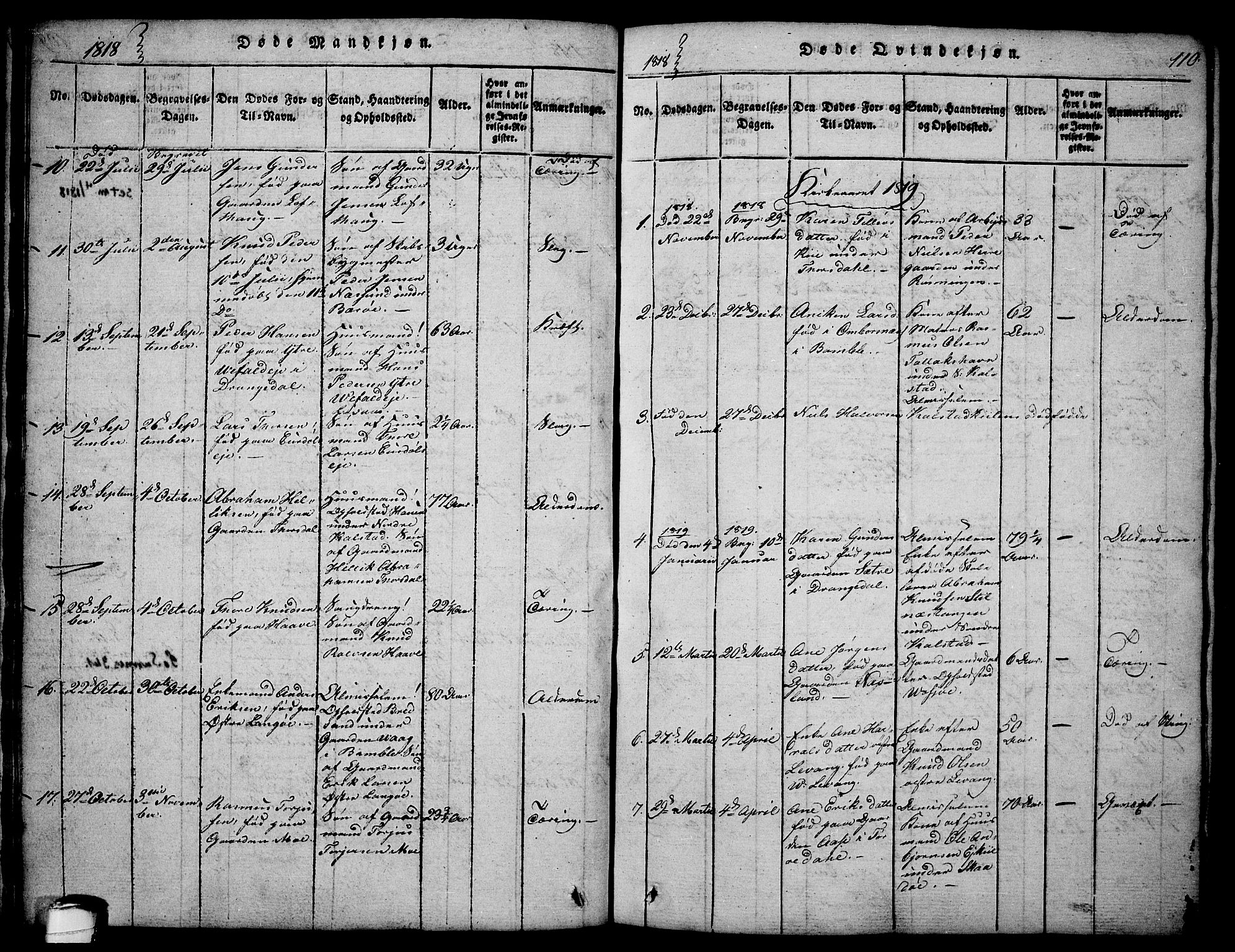 Sannidal kirkebøker, AV/SAKO-A-296/F/Fa/L0004: Parish register (official) no. 4, 1814-1829, p. 110