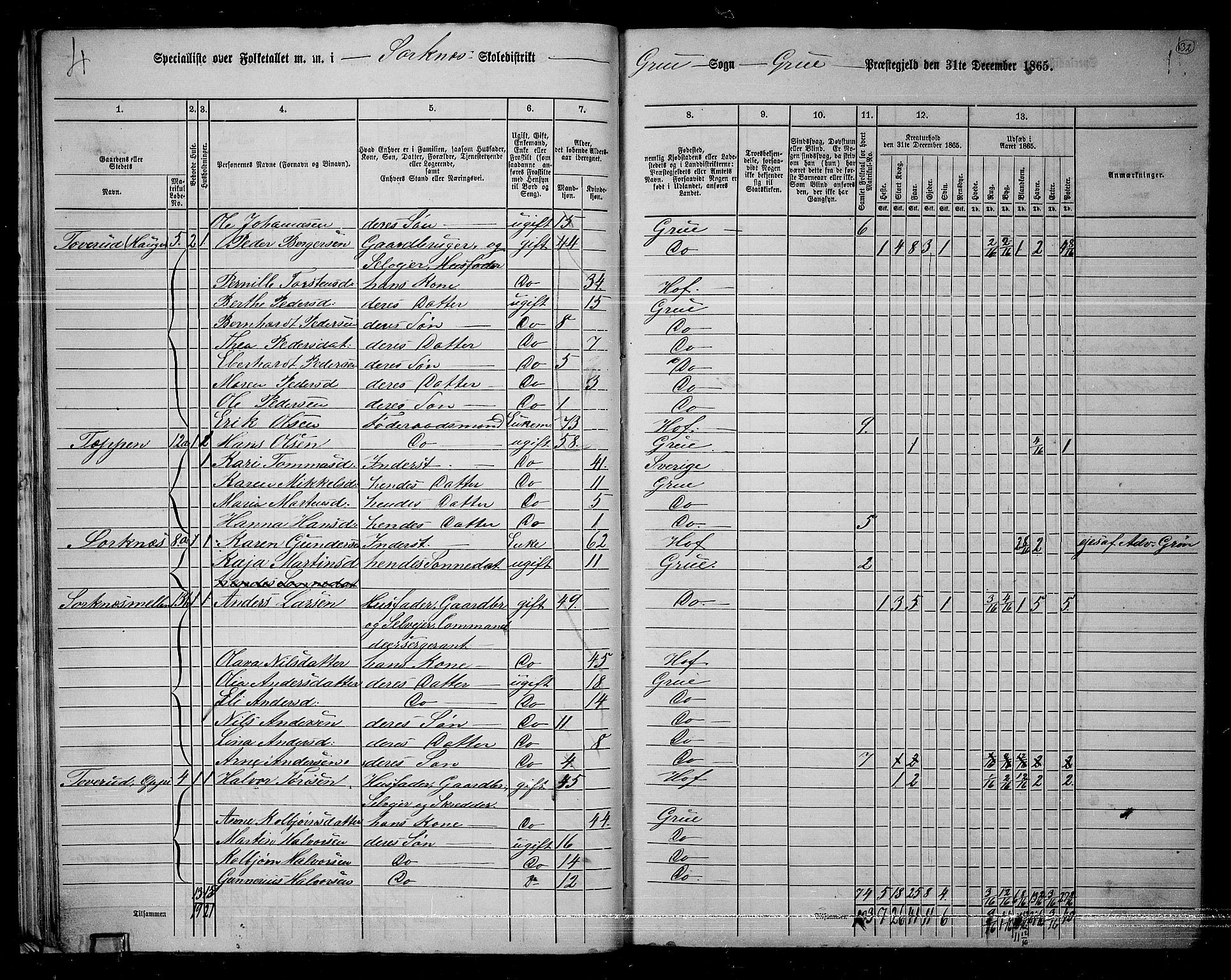 RA, 1865 census for Grue, 1865, p. 31