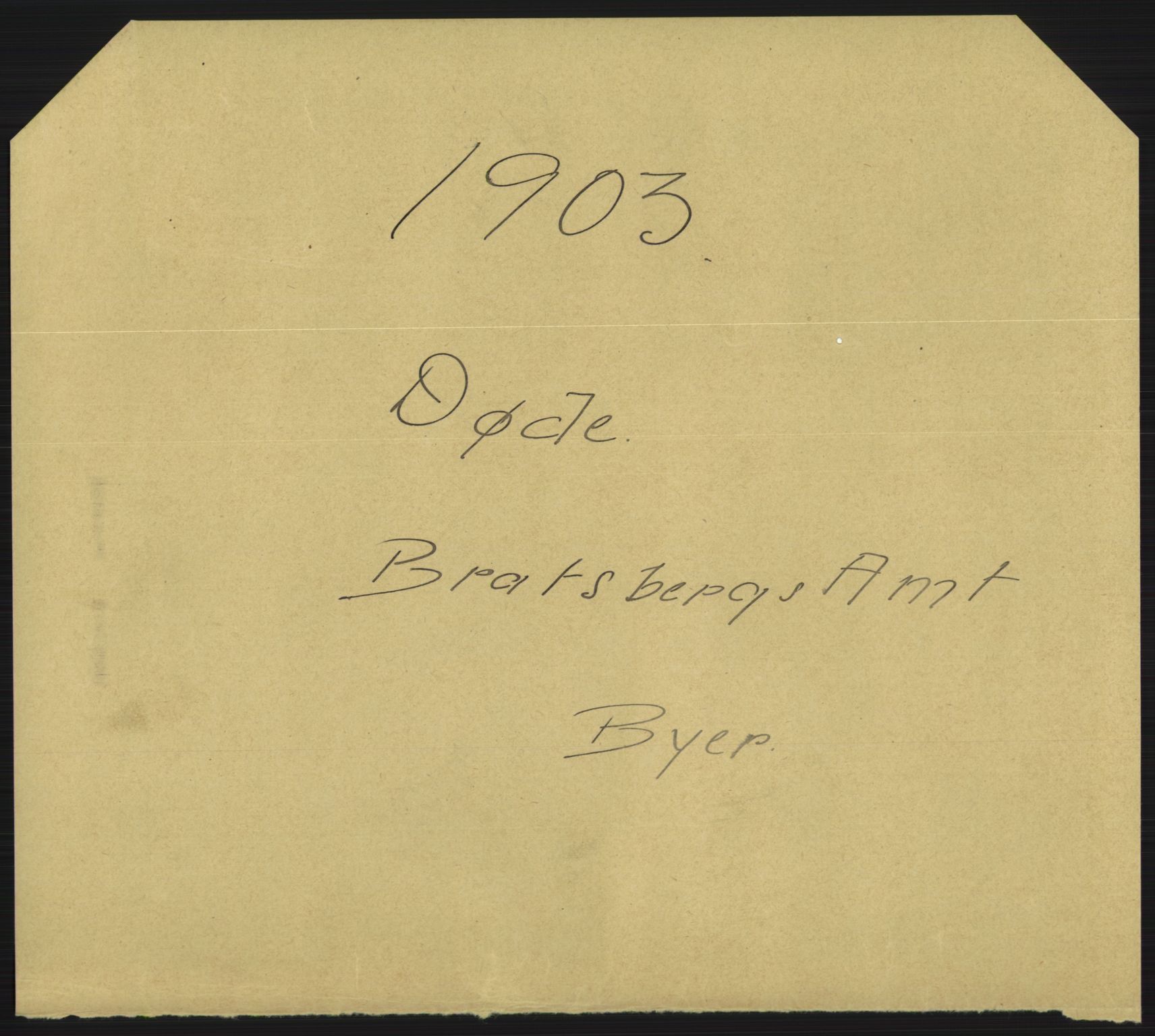 Statistisk sentralbyrå, Sosiodemografiske emner, Befolkning, AV/RA-S-2228/D/Df/Dfa/Dfaa/L0009: Bratsberg amt: Fødte, gifte, døde, 1903, p. 671