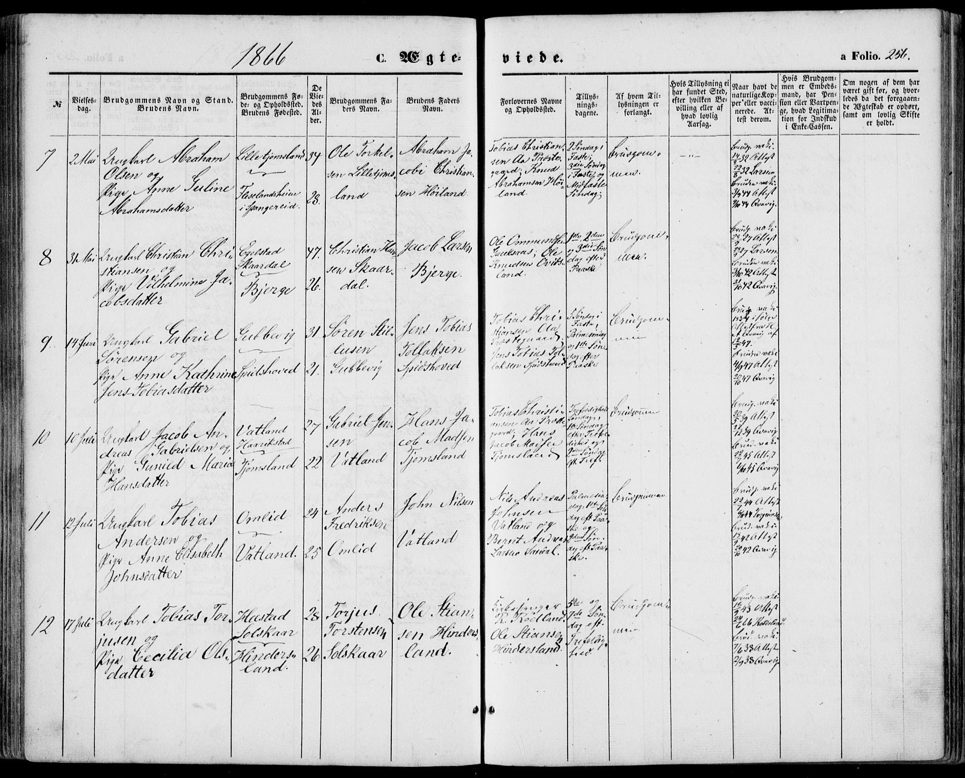 Lyngdal sokneprestkontor, SAK/1111-0029/F/Fa/Fac/L0010: Parish register (official) no. A 10, 1865-1878, p. 256