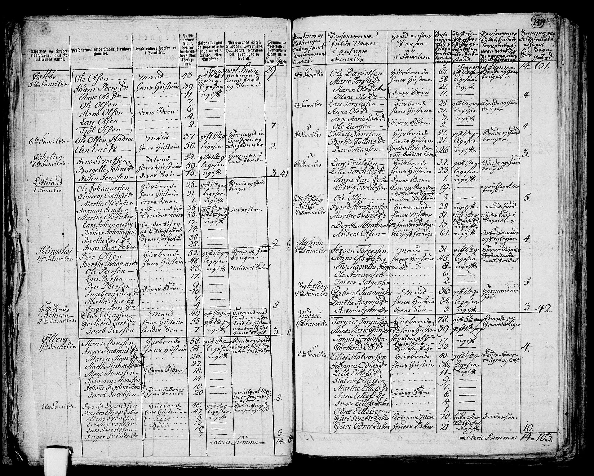 RA, 1801 census for 1124P Håland, 1801, p. 230b-231a