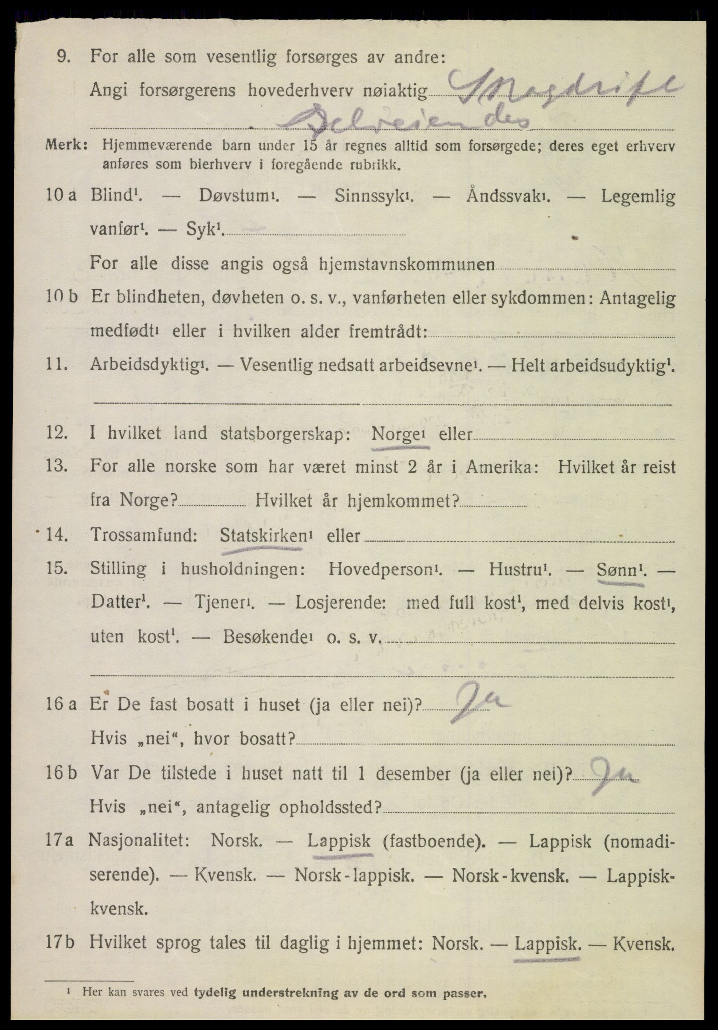 SAT, 1920 census for Hamarøy, 1920, p. 2313