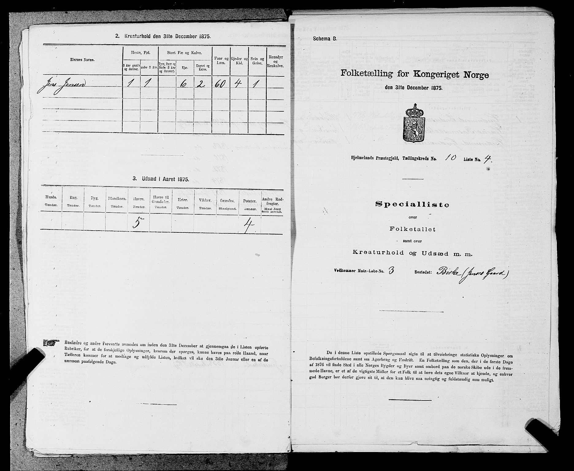 SAST, 1875 census for 1133P Hjelmeland, 1875, p. 1217