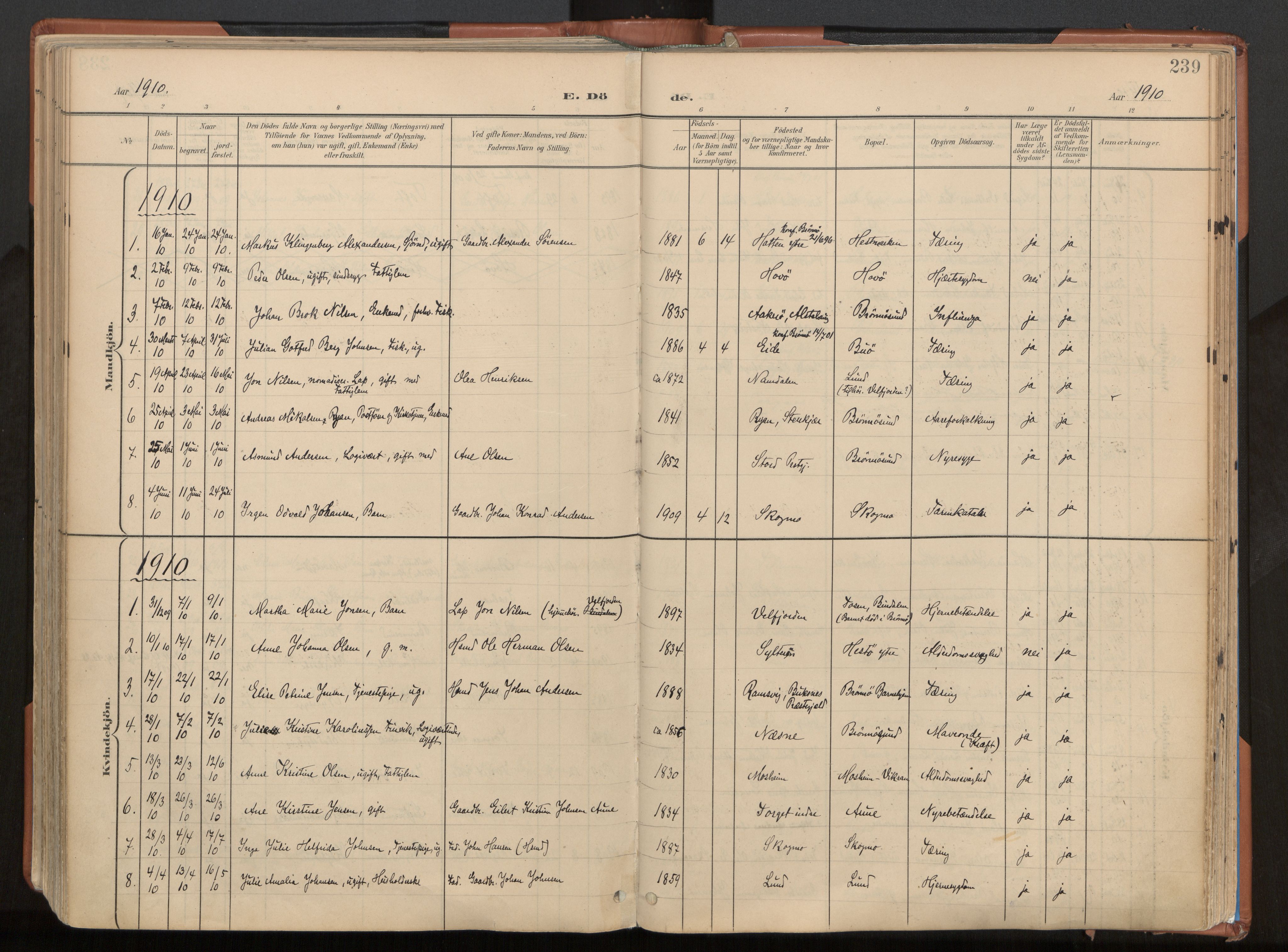 Ministerialprotokoller, klokkerbøker og fødselsregistre - Nordland, AV/SAT-A-1459/813/L0201: Parish register (official) no. 813A11, 1901-1918, p. 239