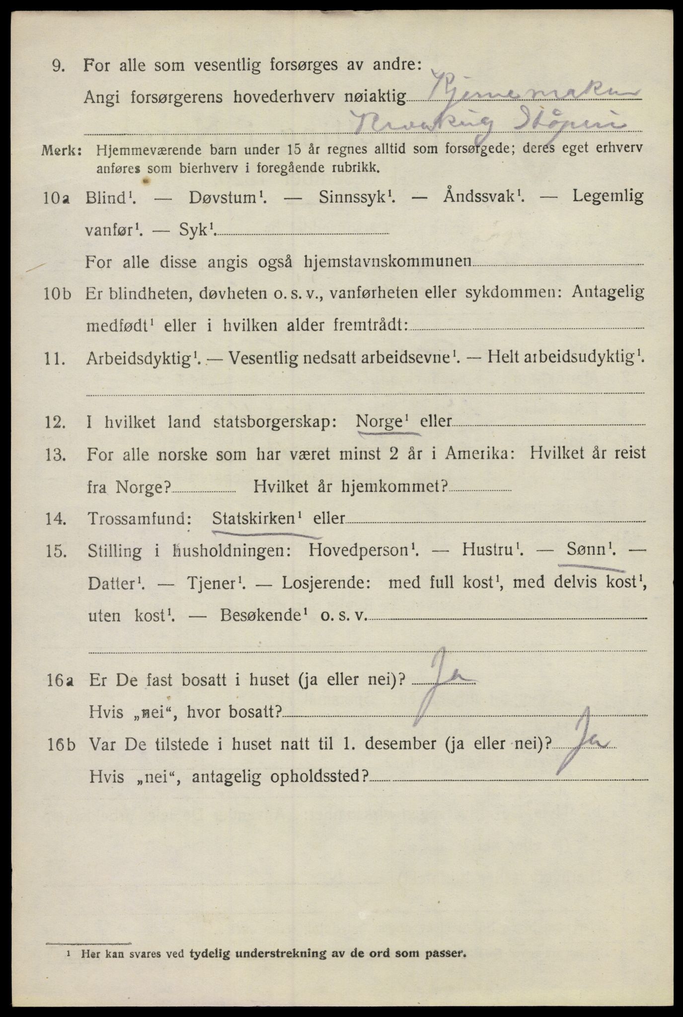 SAO, 1920 census for Kråkerøy, 1920, p. 4329