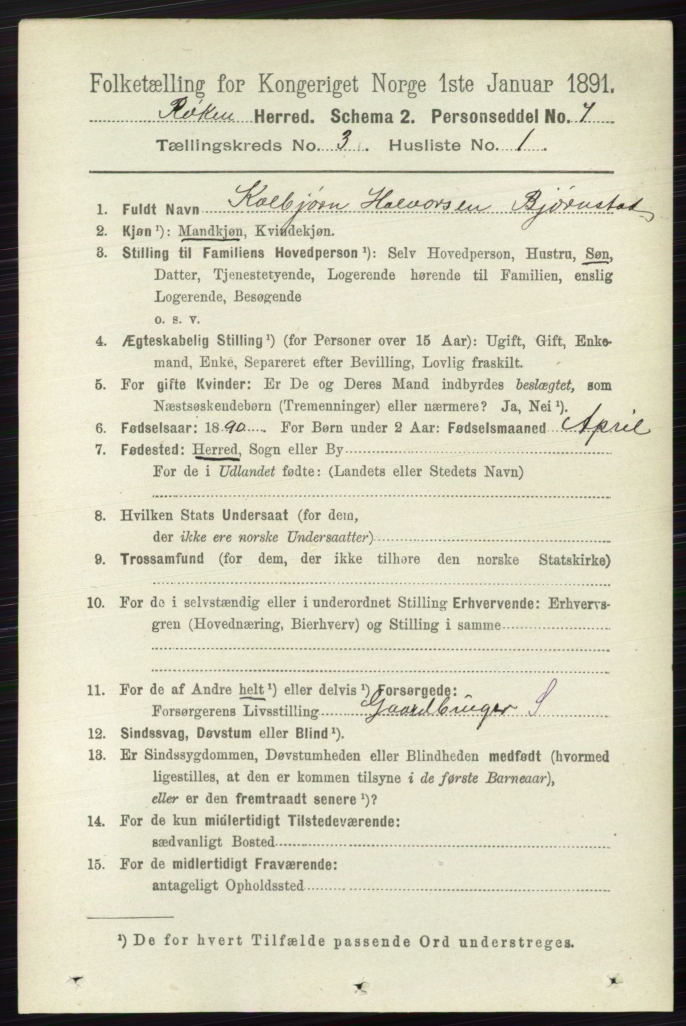 RA, 1891 census for 0627 Røyken, 1891, p. 1202