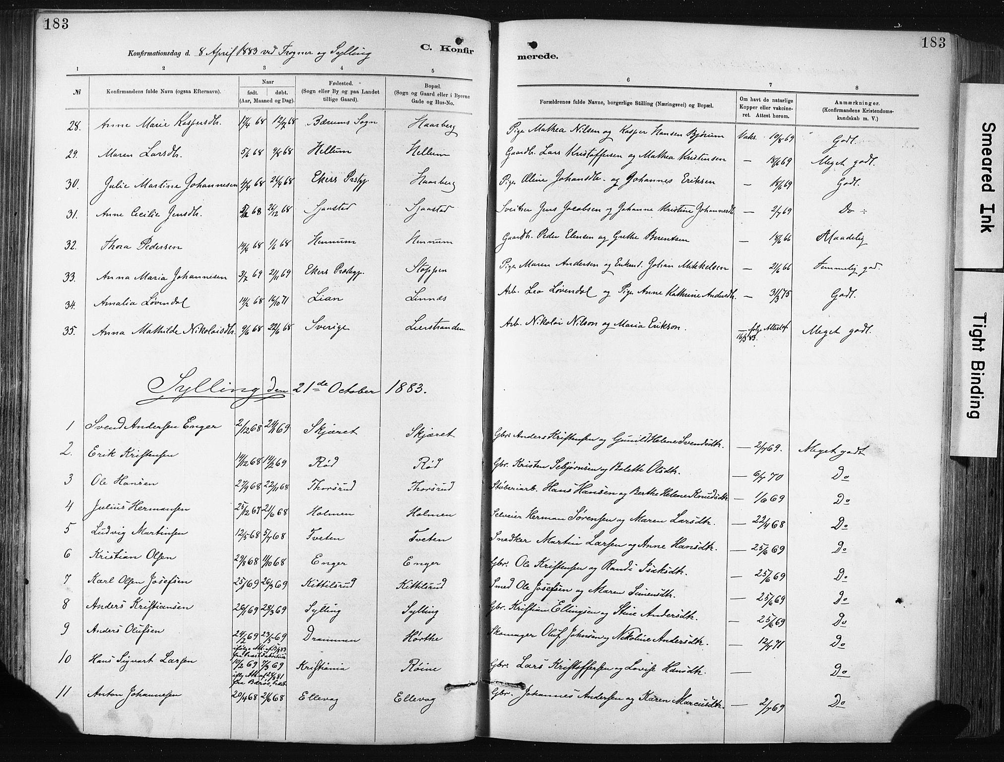 Lier kirkebøker, AV/SAKO-A-230/F/Fa/L0015: Parish register (official) no. I 15, 1883-1894, p. 183