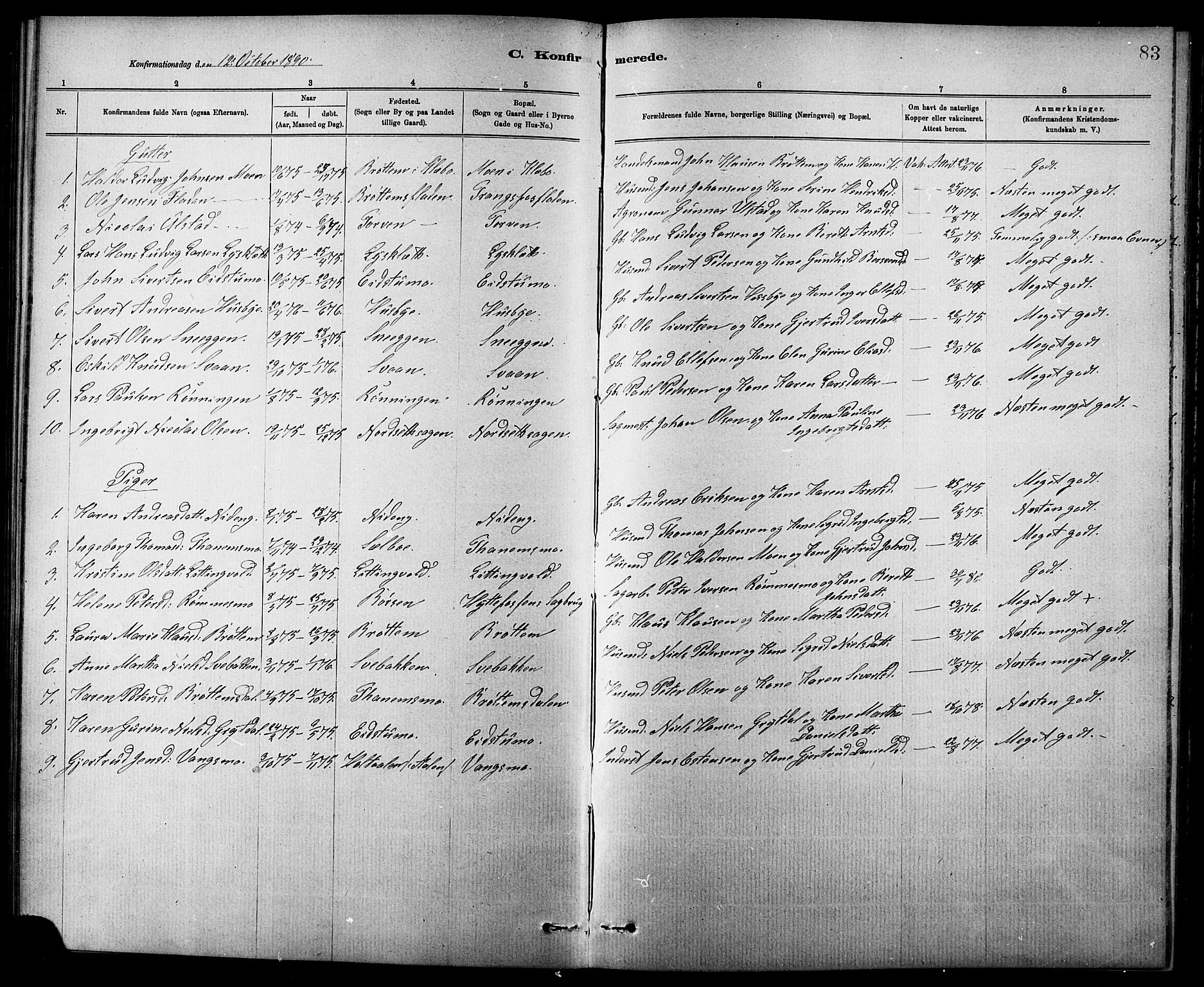 Ministerialprotokoller, klokkerbøker og fødselsregistre - Sør-Trøndelag, AV/SAT-A-1456/618/L0452: Parish register (copy) no. 618C03, 1884-1906, p. 83