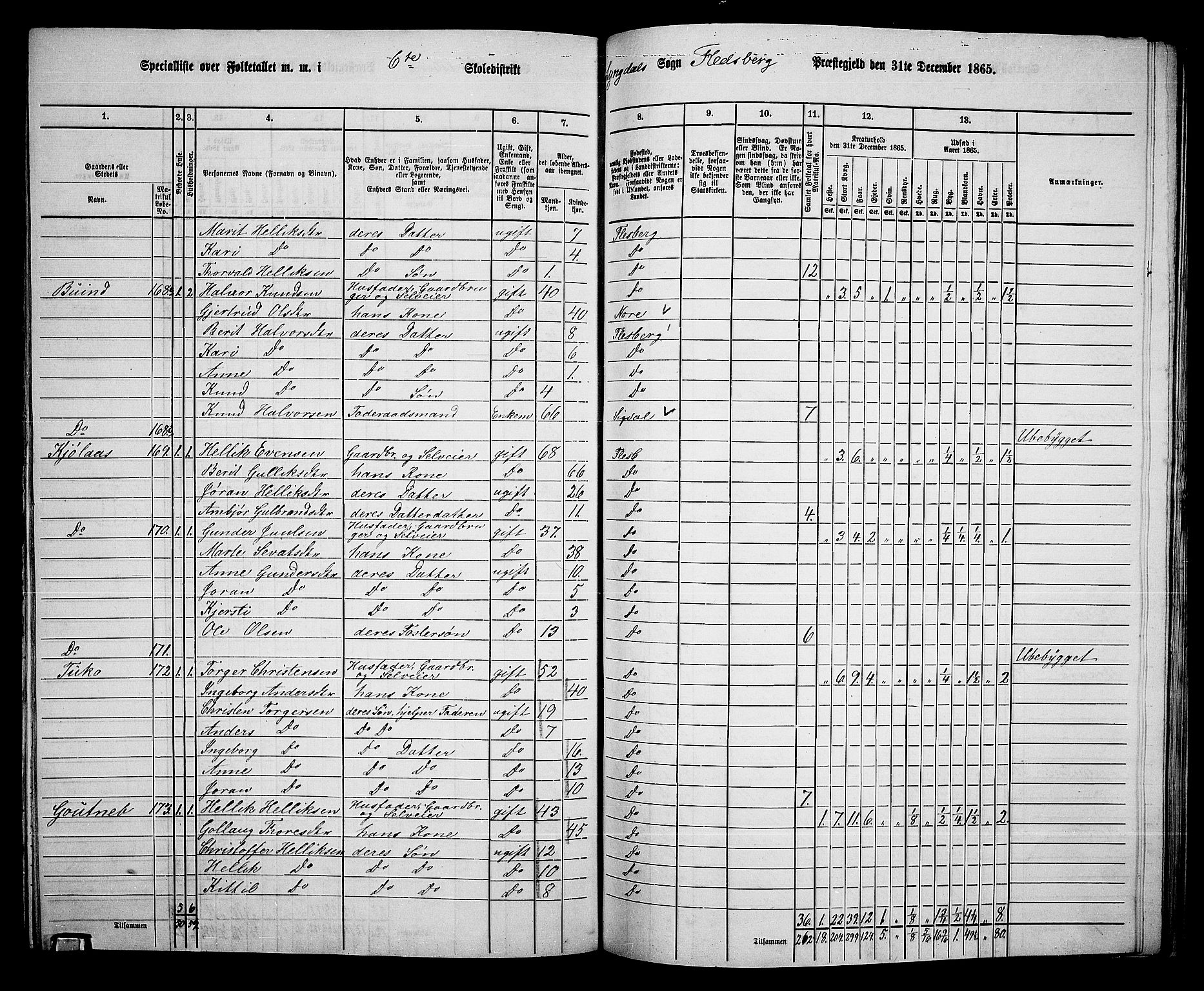 RA, 1865 census for Flesberg, 1865, p. 117