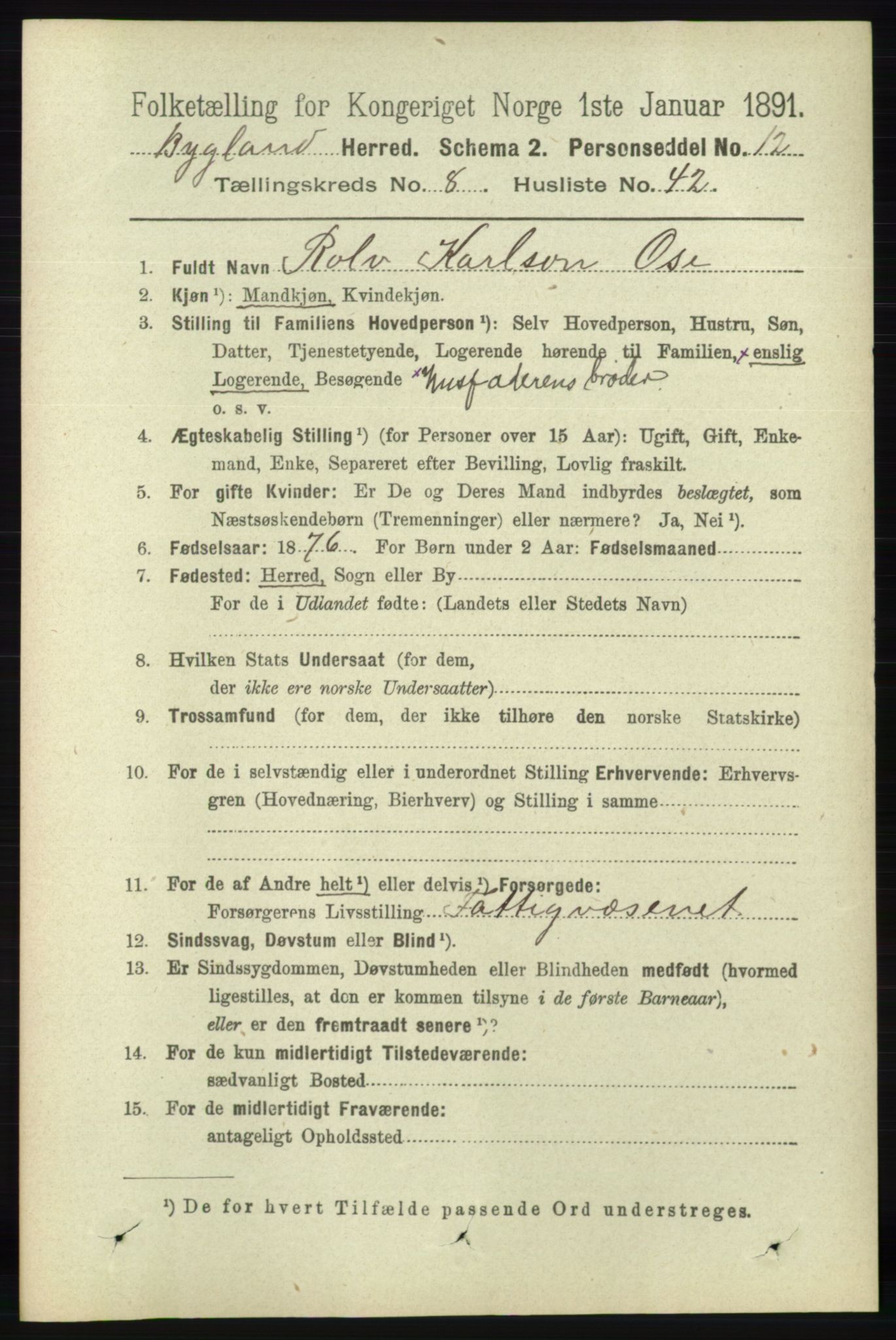 RA, 1891 census for 0938 Bygland, 1891, p. 2176