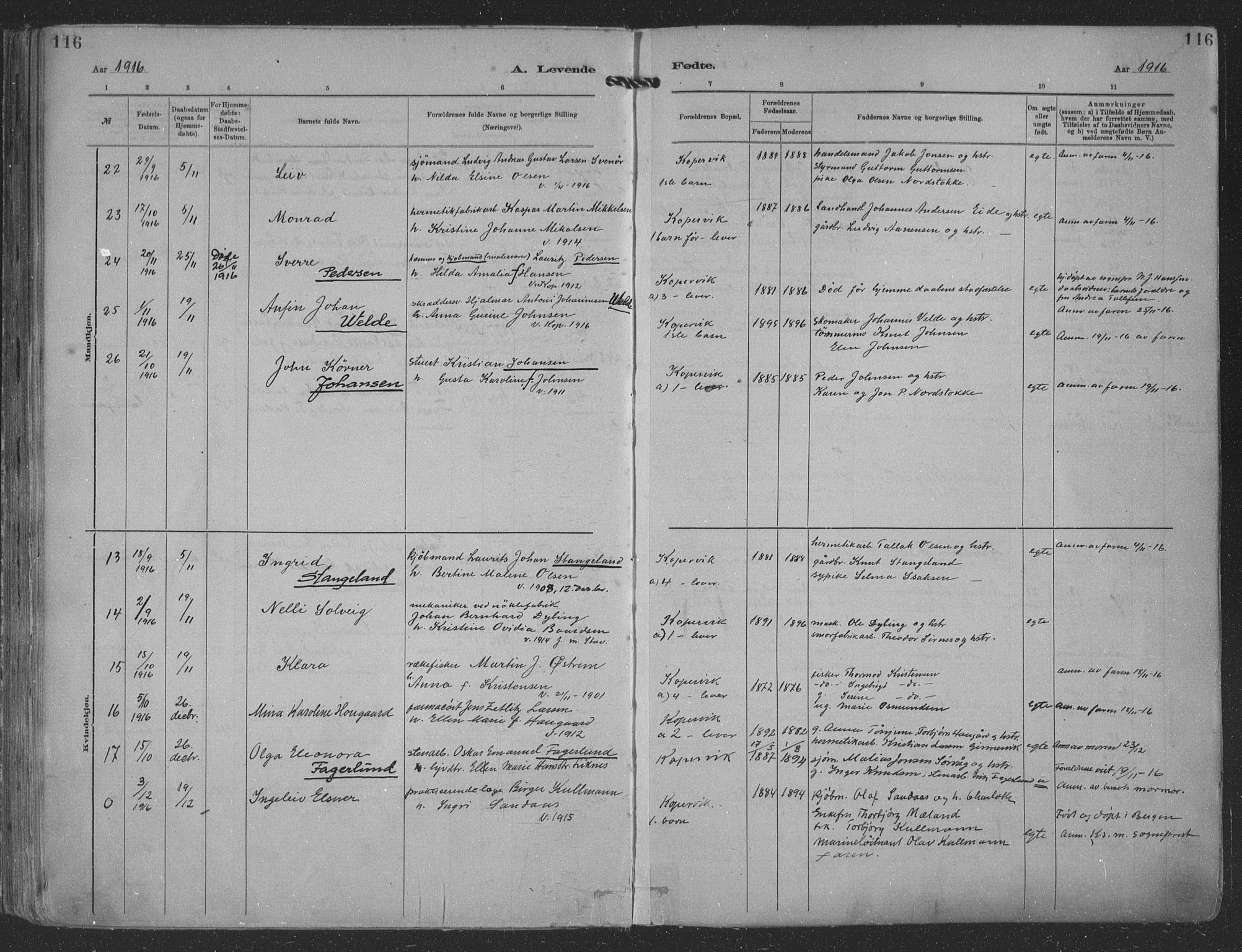 Kopervik sokneprestkontor, AV/SAST-A-101850/H/Ha/Haa/L0001: Parish register (official) no. A 1, 1880-1919, p. 116