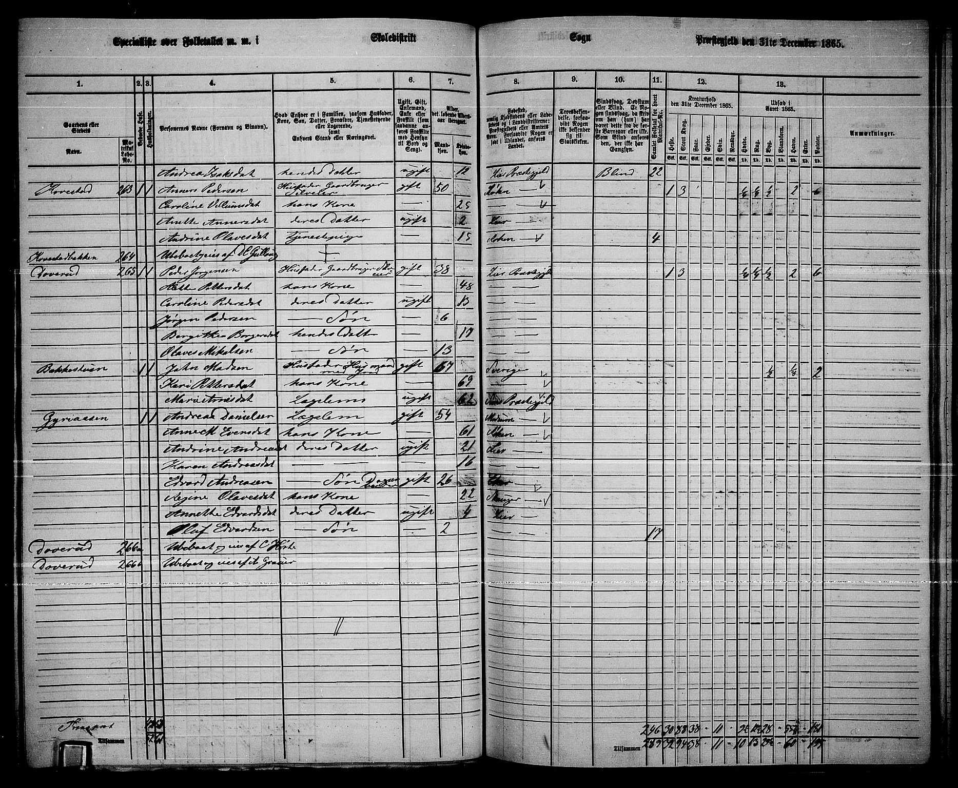 RA, 1865 census for Lier, 1865, p. 155