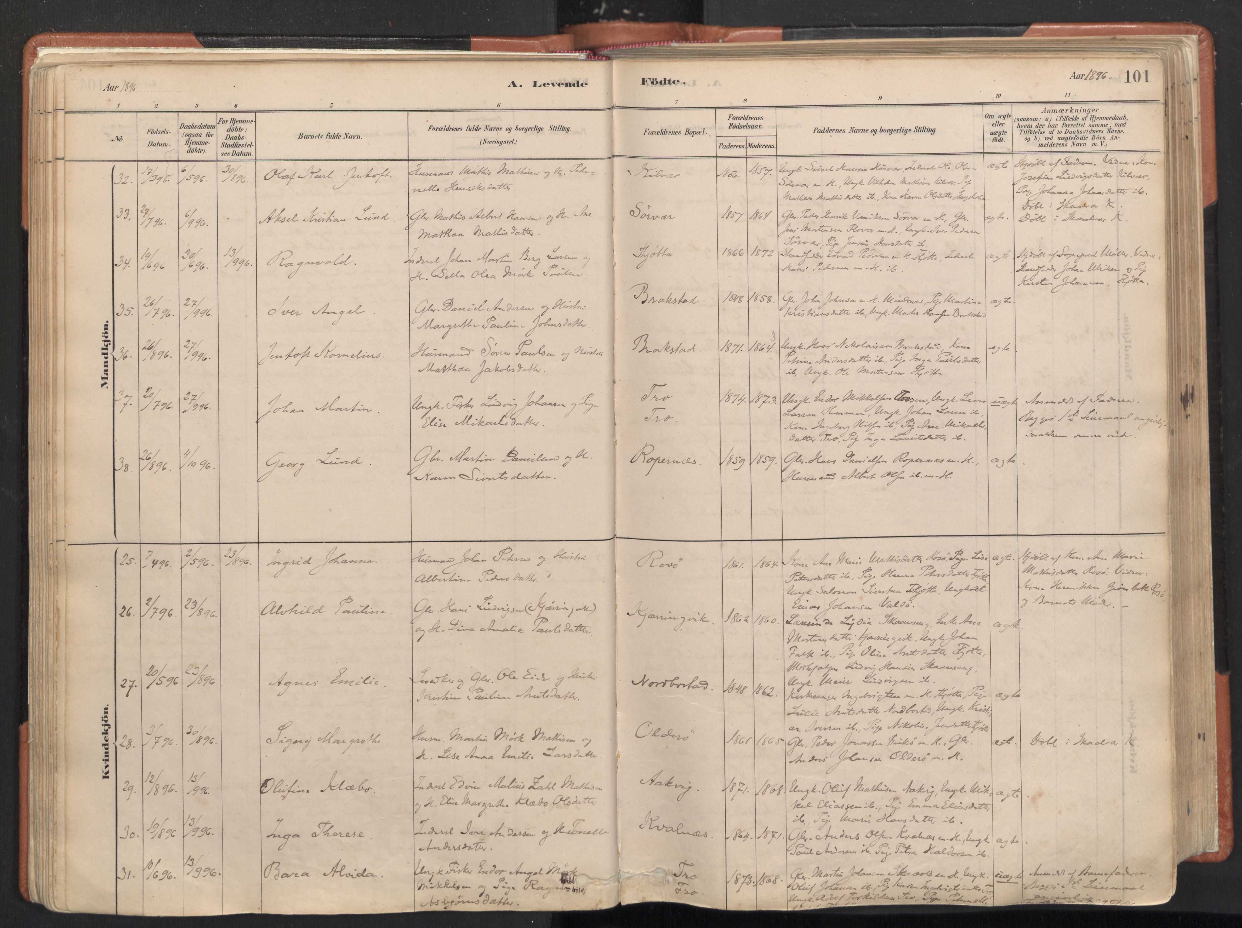 Ministerialprotokoller, klokkerbøker og fødselsregistre - Nordland, SAT/A-1459/817/L0264: Parish register (official) no. 817A04, 1878-1907, p. 101