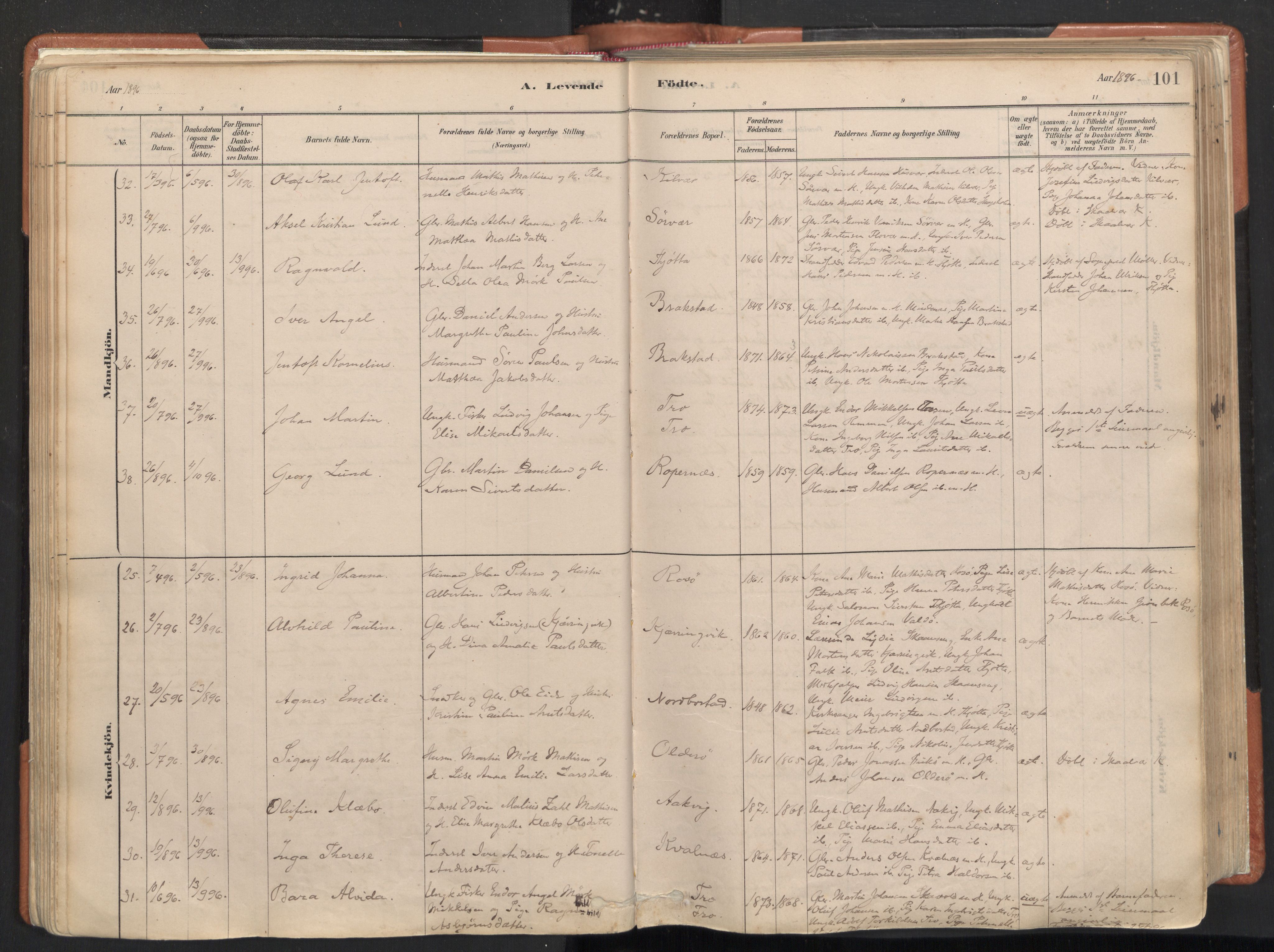 Ministerialprotokoller, klokkerbøker og fødselsregistre - Nordland, AV/SAT-A-1459/817/L0264: Parish register (official) no. 817A04, 1878-1907, p. 101