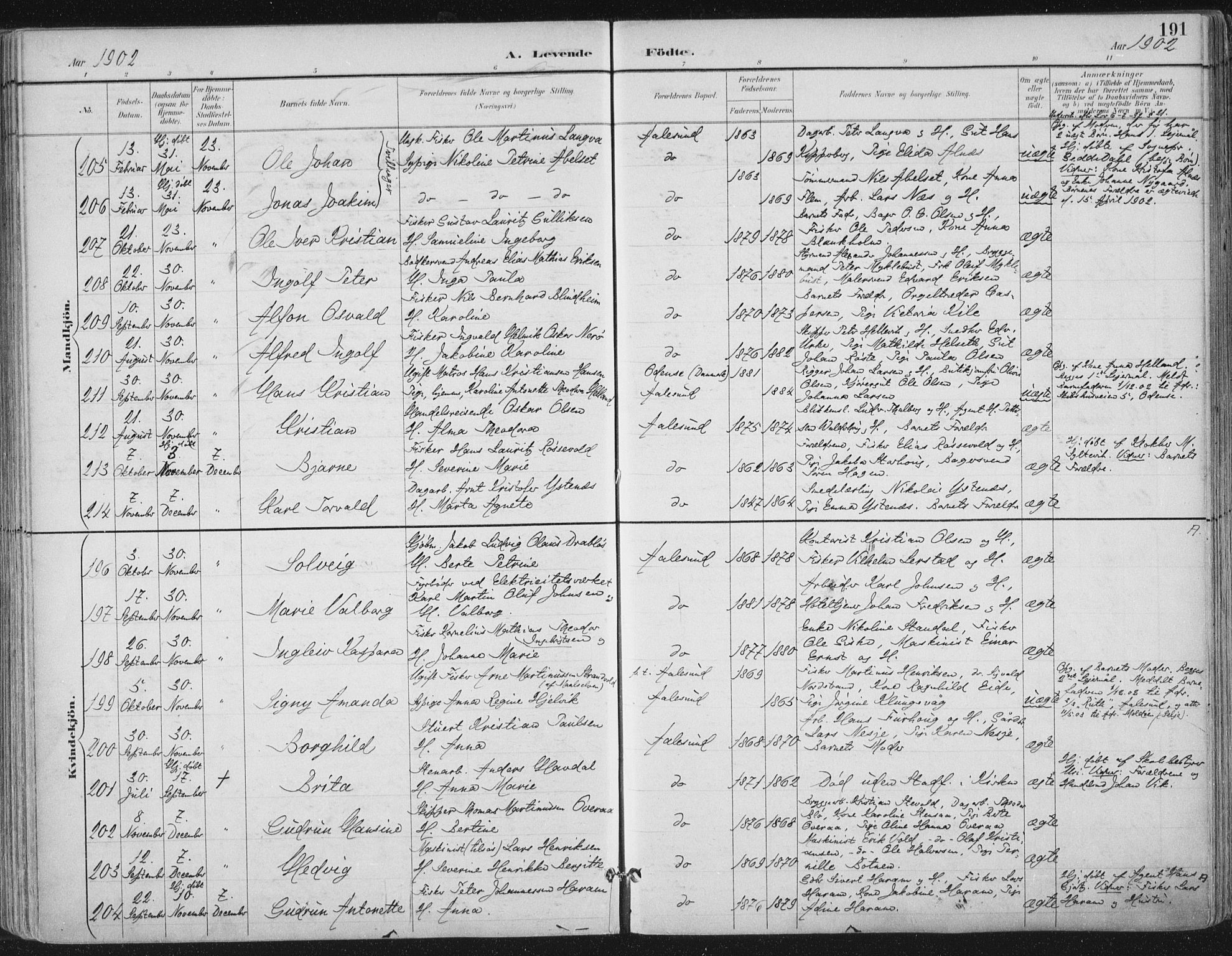 Ministerialprotokoller, klokkerbøker og fødselsregistre - Møre og Romsdal, AV/SAT-A-1454/529/L0456: Parish register (official) no. 529A06, 1894-1906, p. 191