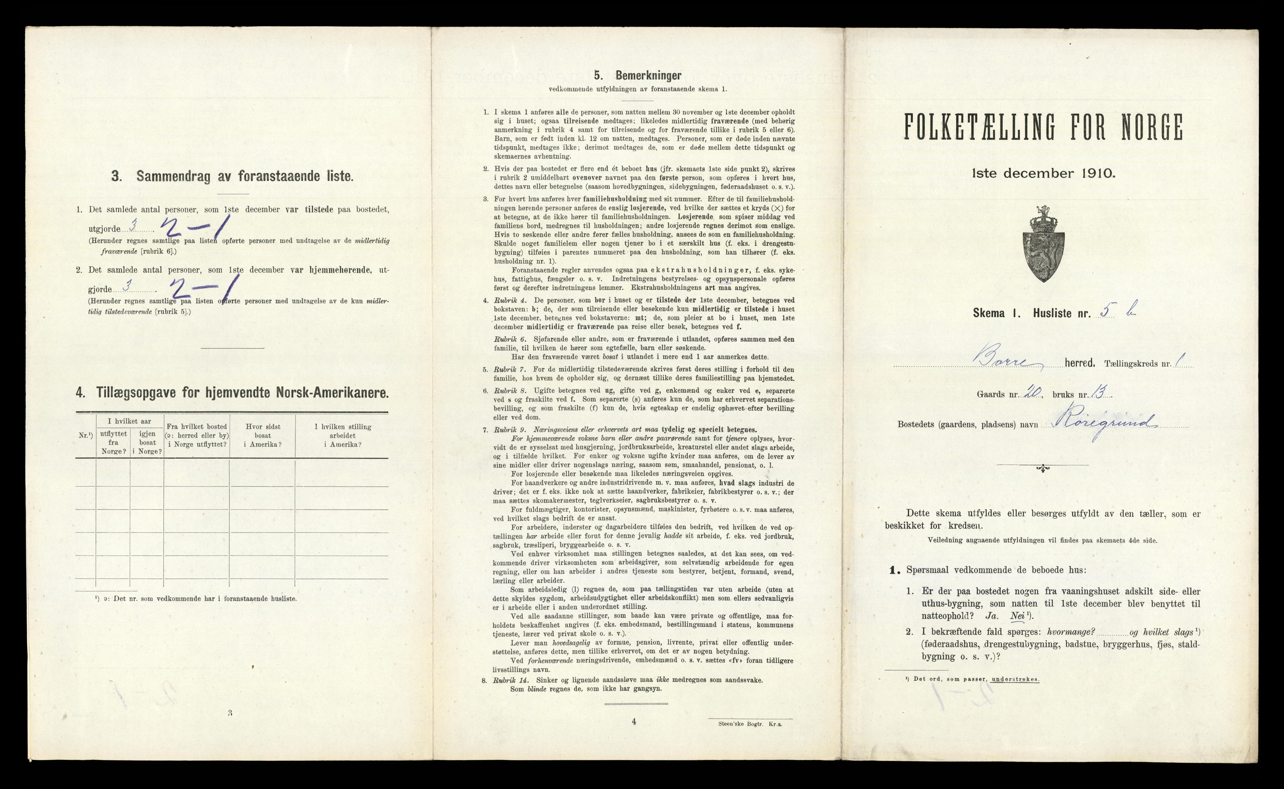 RA, 1910 census for Borre, 1910, p. 245