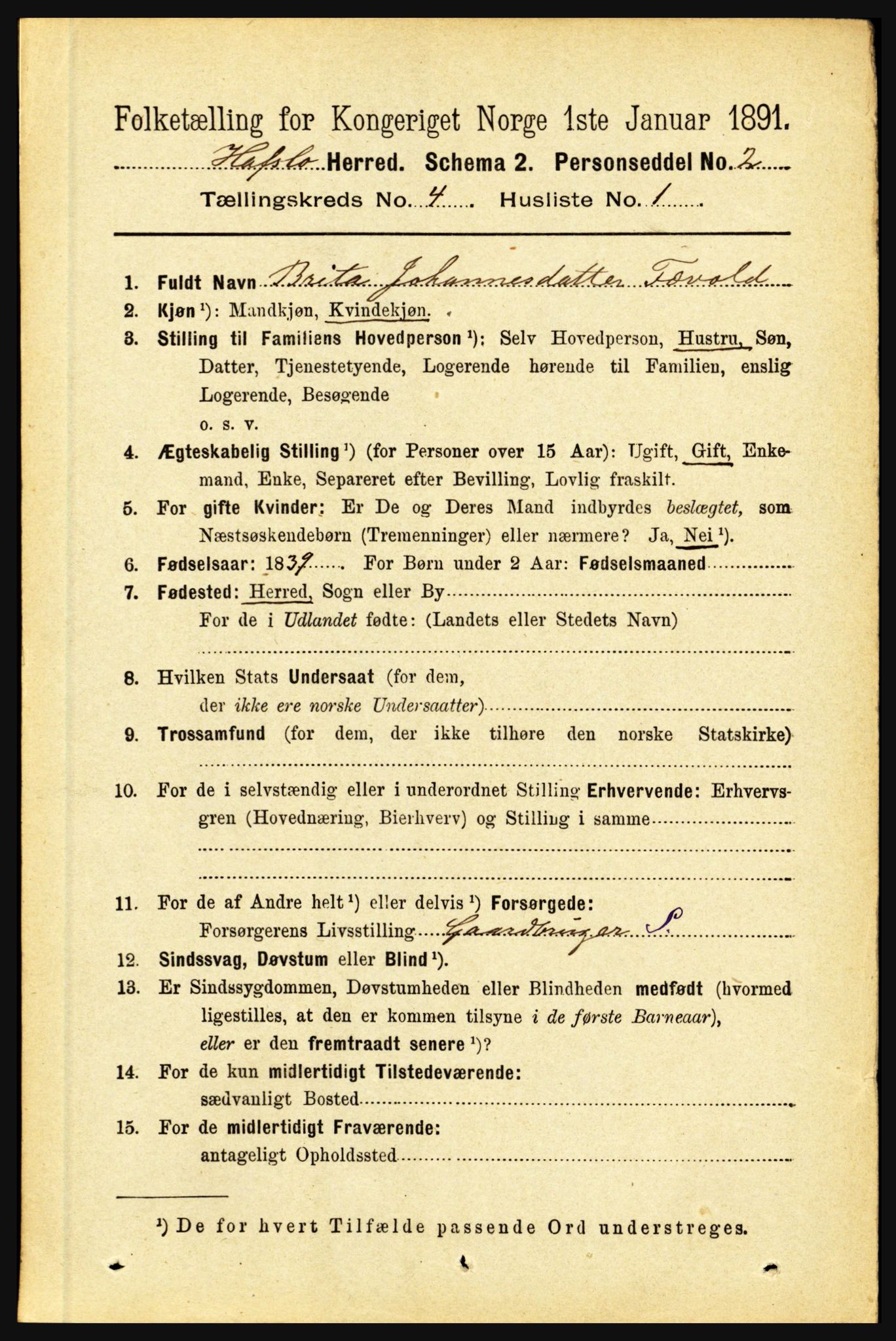 RA, 1891 census for 1425 Hafslo, 1891, p. 1576