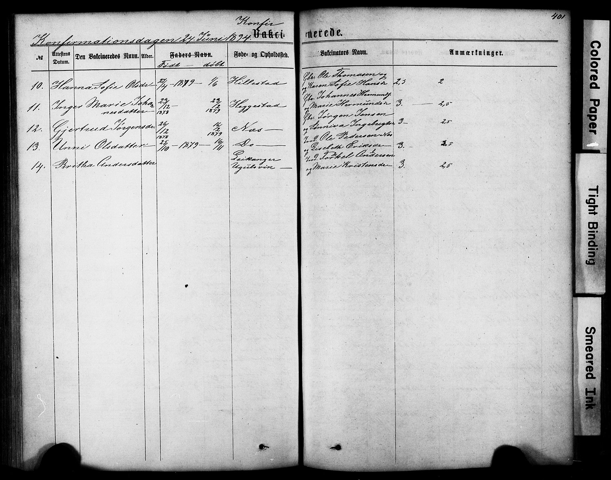 Hafslo sokneprestembete, AV/SAB-A-80301/H/Hab/Haba/L0001: Parish register (copy) no. A 1, 1866-1908, p. 401