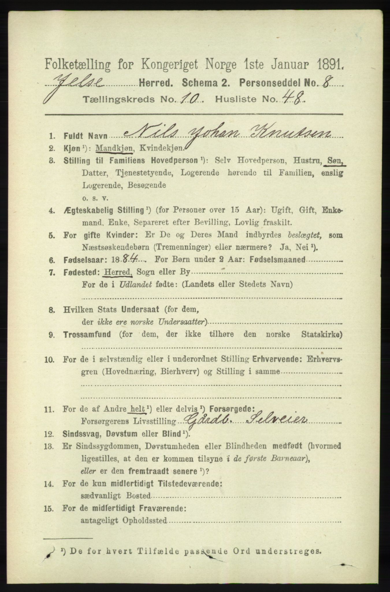 RA, 1891 census for 1138 Jelsa, 1891, p. 2706