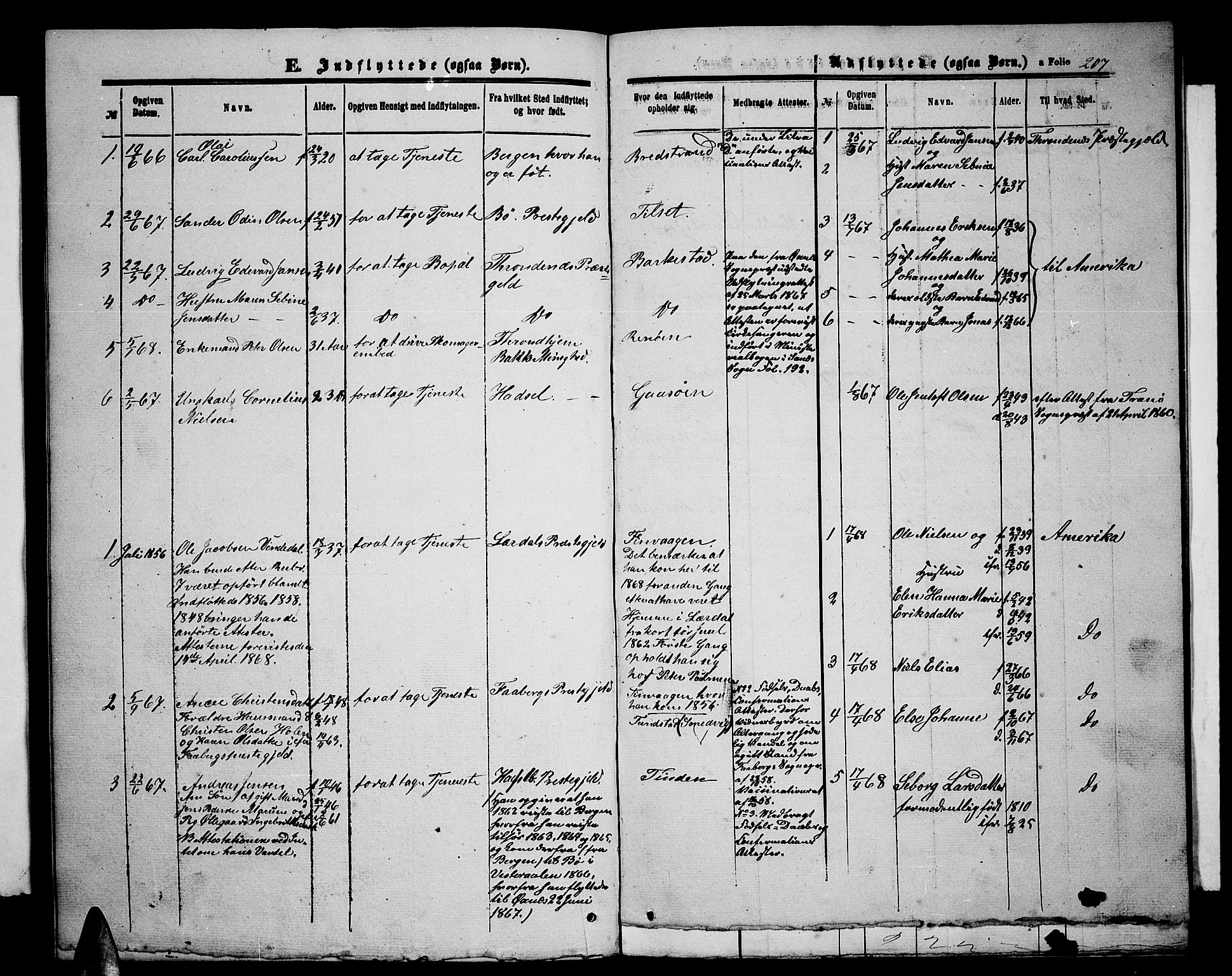 Ministerialprotokoller, klokkerbøker og fødselsregistre - Nordland, SAT/A-1459/893/L1348: Parish register (copy) no. 893C03, 1867-1877, p. 207