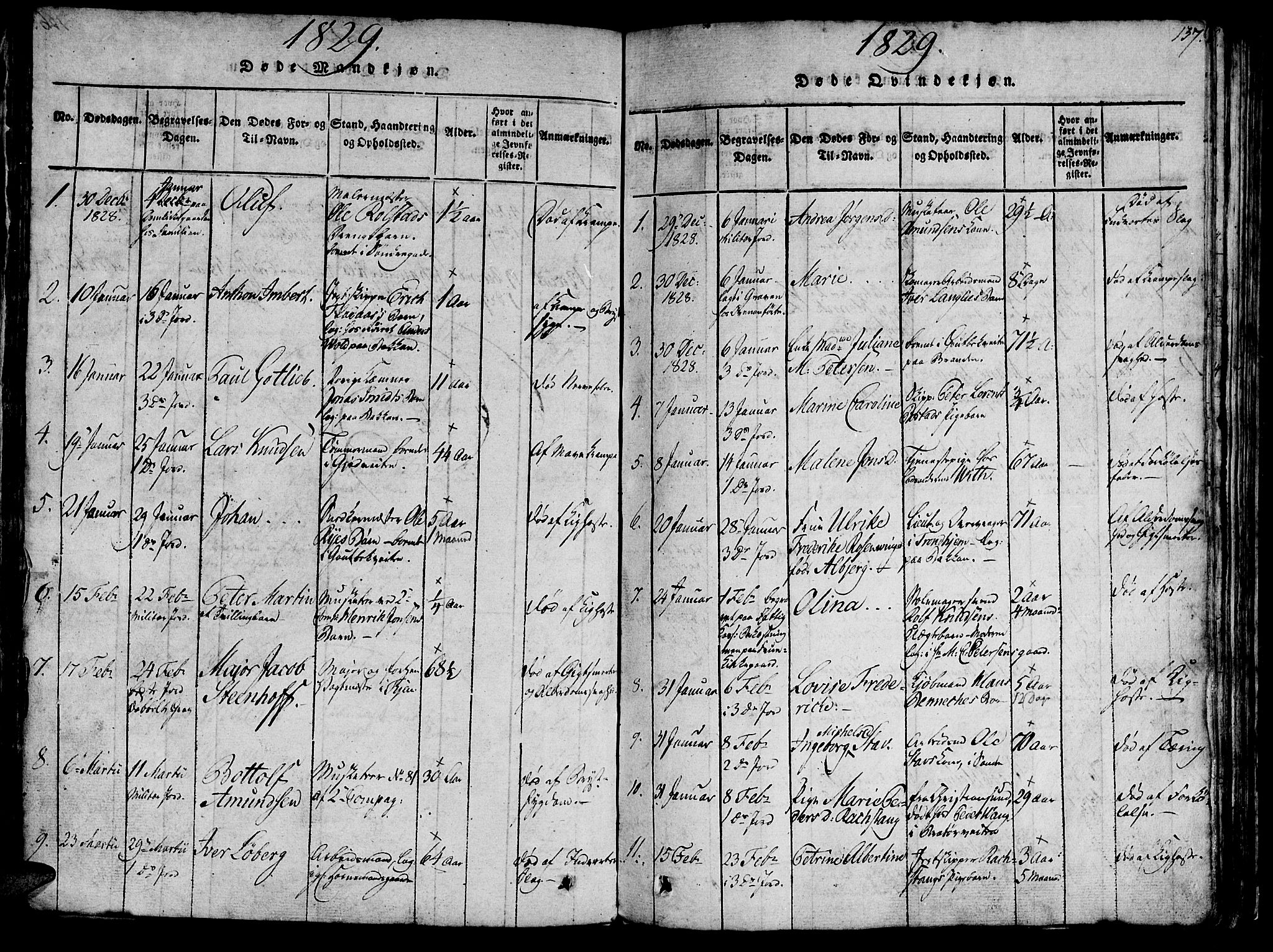 Ministerialprotokoller, klokkerbøker og fødselsregistre - Sør-Trøndelag, SAT/A-1456/602/L0135: Parish register (copy) no. 602C03, 1815-1832, p. 137