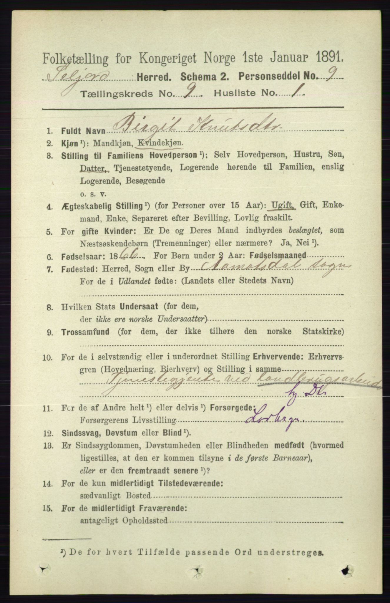 RA, 1891 census for 0828 Seljord, 1891, p. 3179