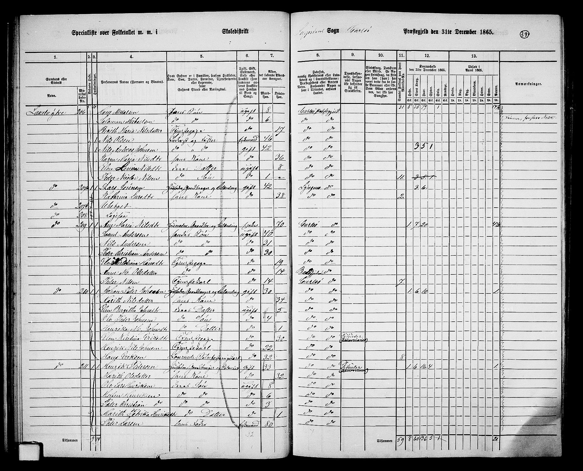 RA, 1865 census for Karlsøy, 1865, p. 39