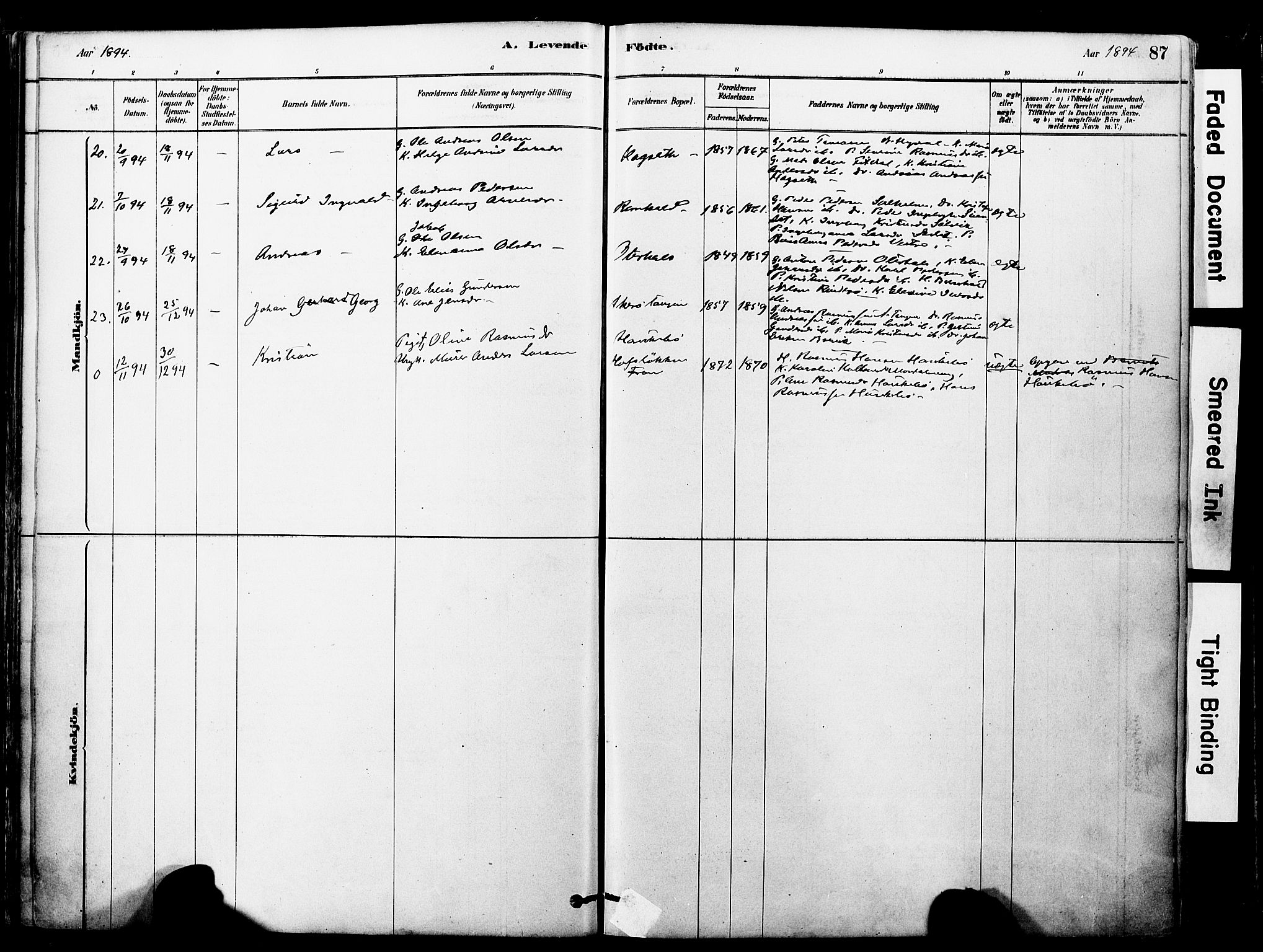 Ministerialprotokoller, klokkerbøker og fødselsregistre - Møre og Romsdal, SAT/A-1454/560/L0721: Parish register (official) no. 560A05, 1878-1917, p. 87