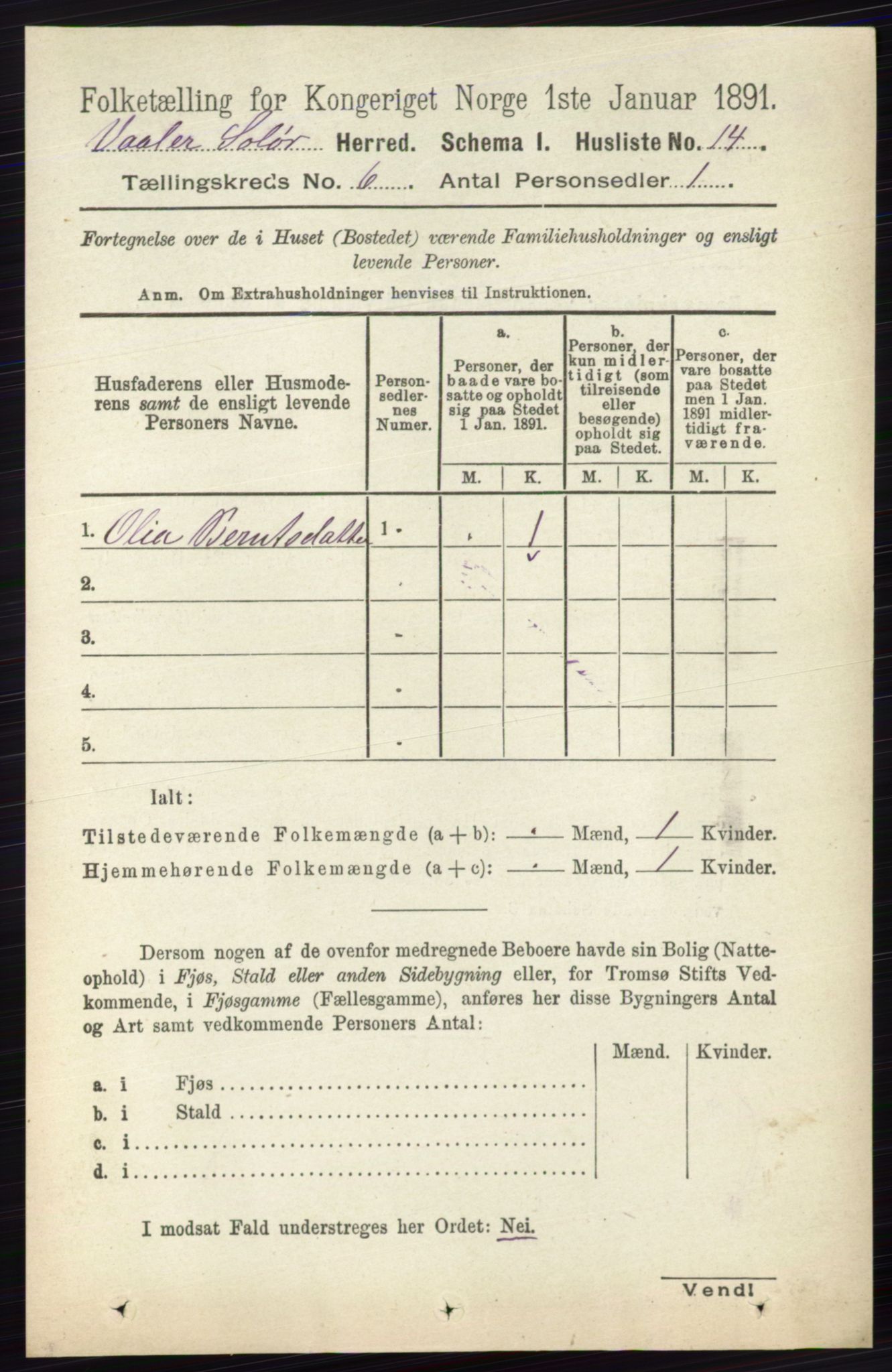 RA, 1891 census for 0426 Våler, 1891, p. 2406