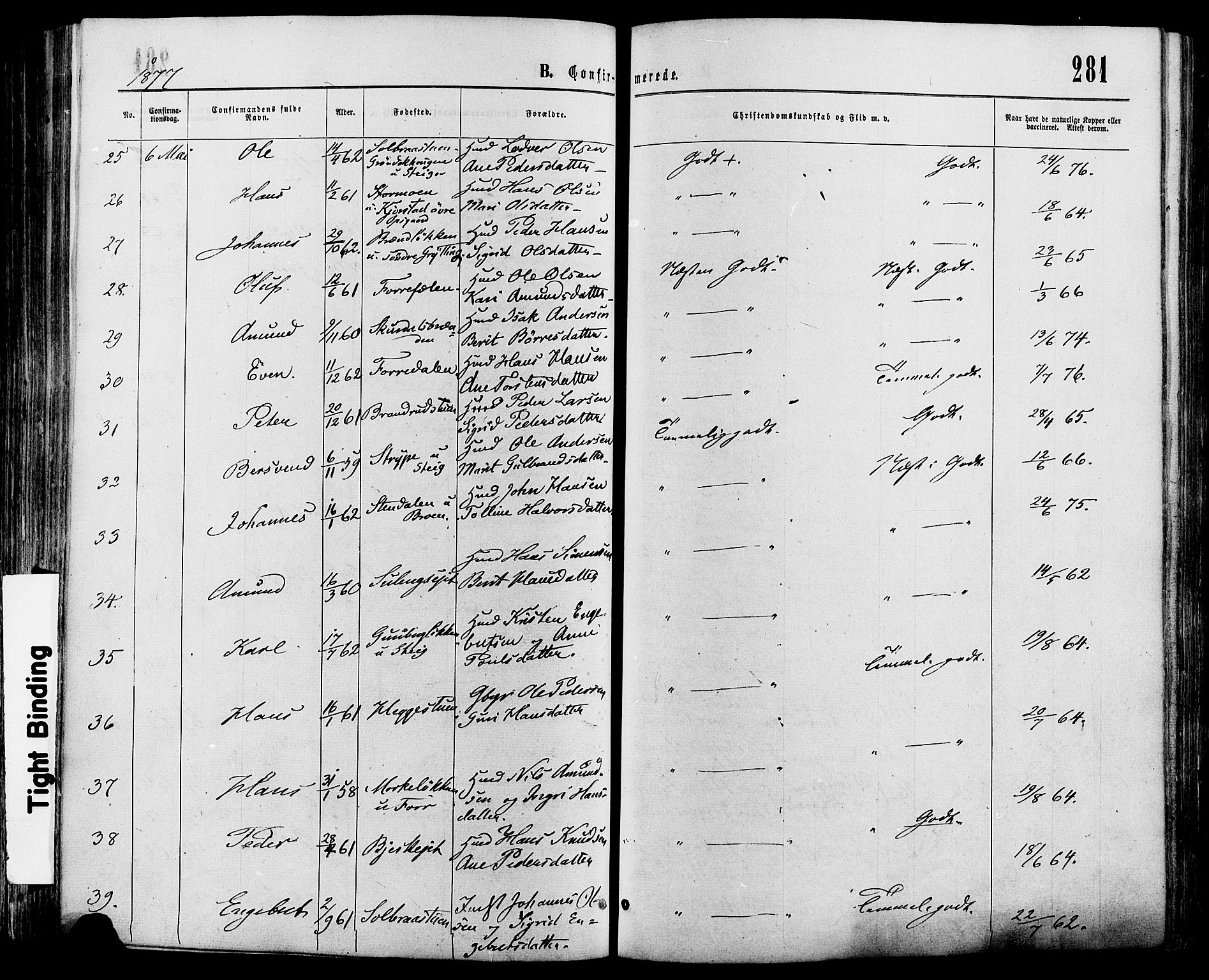 Sør-Fron prestekontor, AV/SAH-PREST-010/H/Ha/Haa/L0002: Parish register (official) no. 2, 1864-1880, p. 281