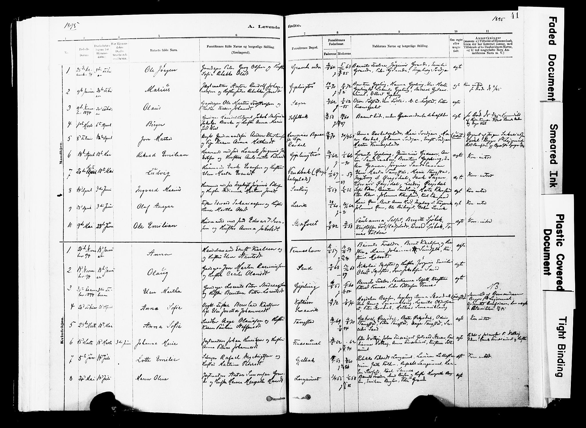 Ministerialprotokoller, klokkerbøker og fødselsregistre - Nord-Trøndelag, SAT/A-1458/744/L0420: Parish register (official) no. 744A04, 1882-1904, p. 41