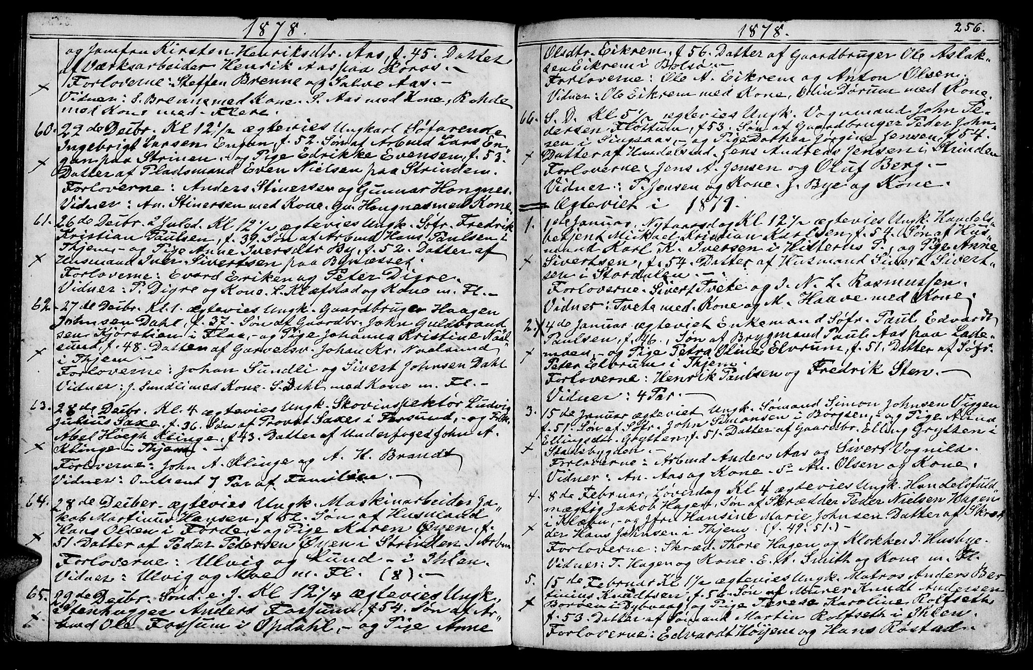Ministerialprotokoller, klokkerbøker og fødselsregistre - Sør-Trøndelag, SAT/A-1456/602/L0142: Parish register (copy) no. 602C10, 1872-1894, p. 256