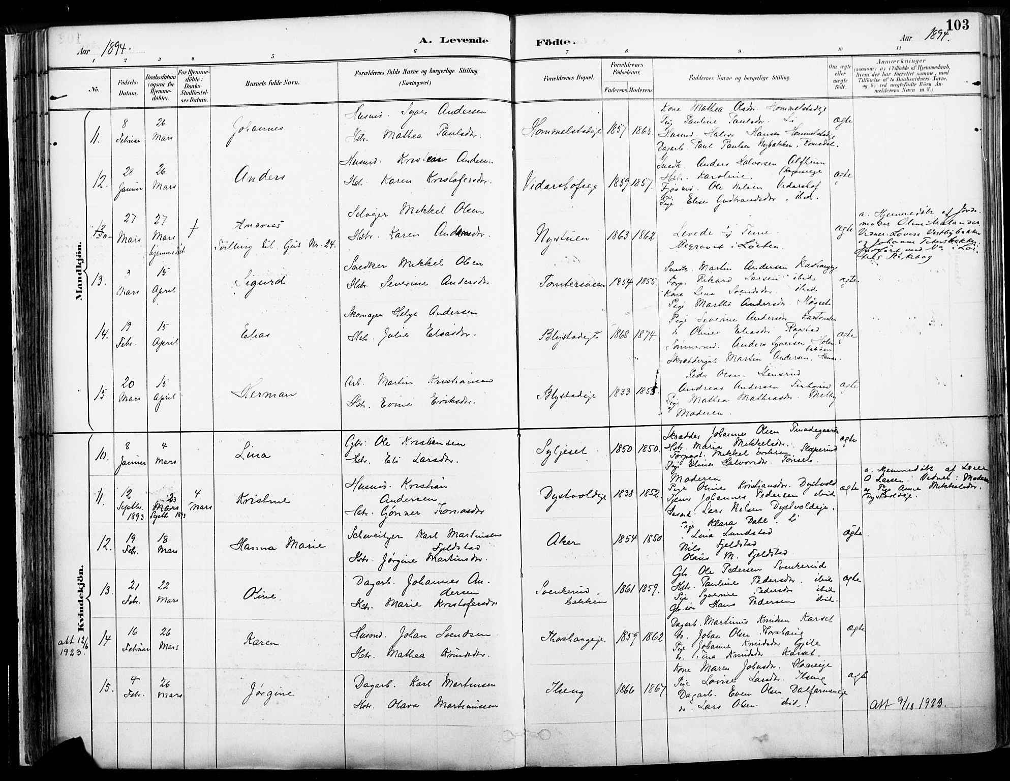 Vang prestekontor, Hedmark, AV/SAH-PREST-008/H/Ha/Haa/L0019A: Parish register (official) no. 19, 1886-1900, p. 103