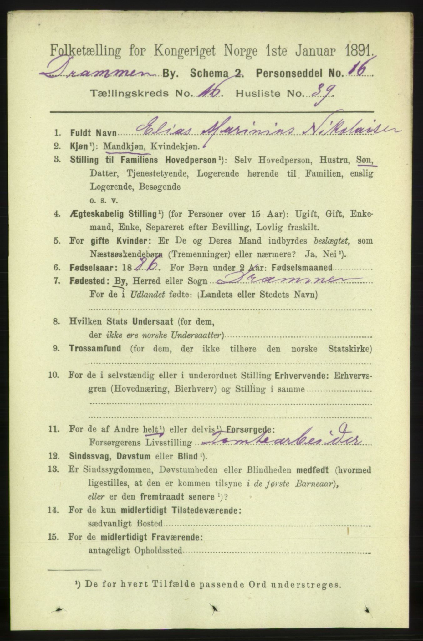 RA, 1891 census for 0602 Drammen, 1891, p. 11266