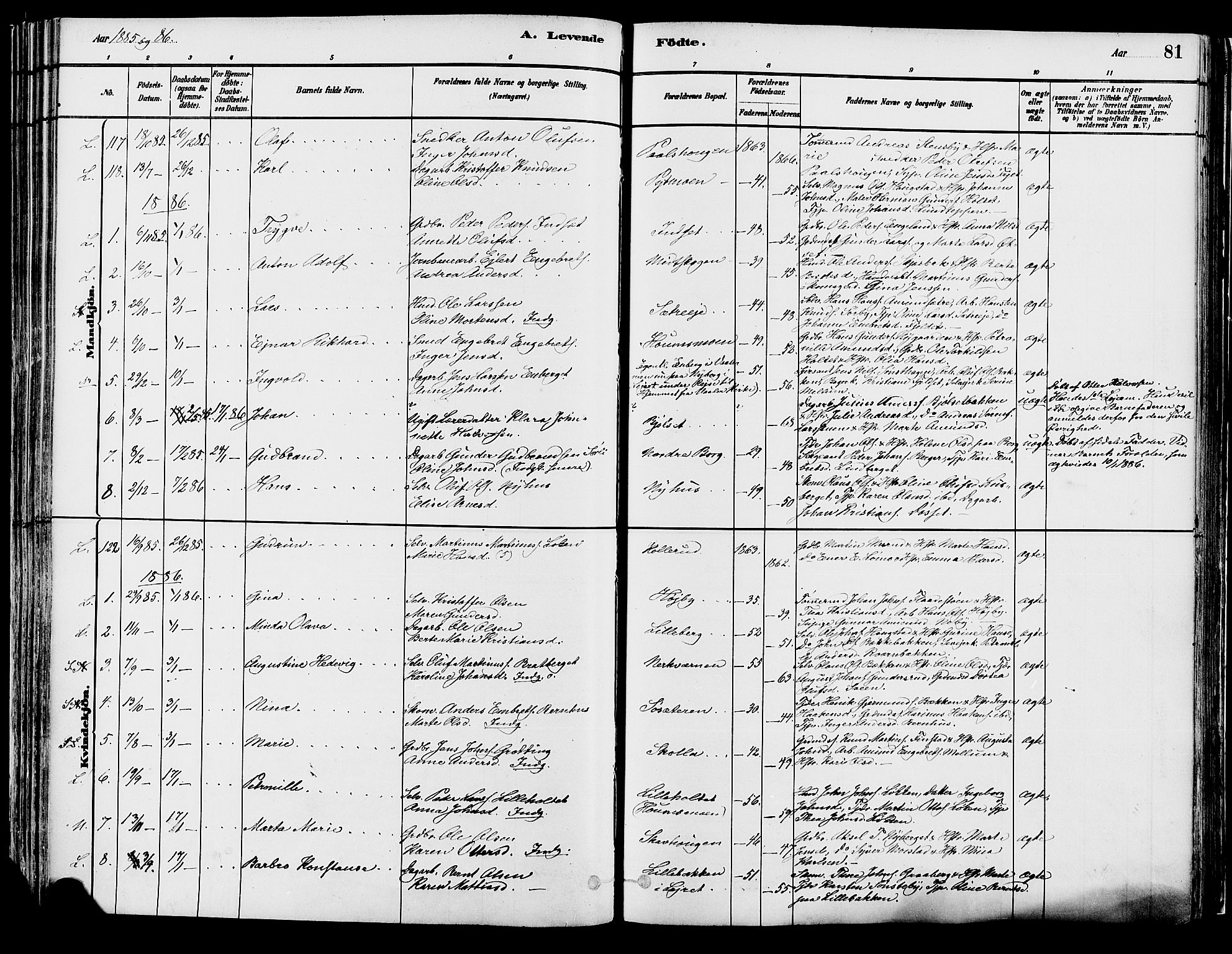 Elverum prestekontor, AV/SAH-PREST-044/H/Ha/Haa/L0013: Parish register (official) no. 13, 1880-1890, p. 81