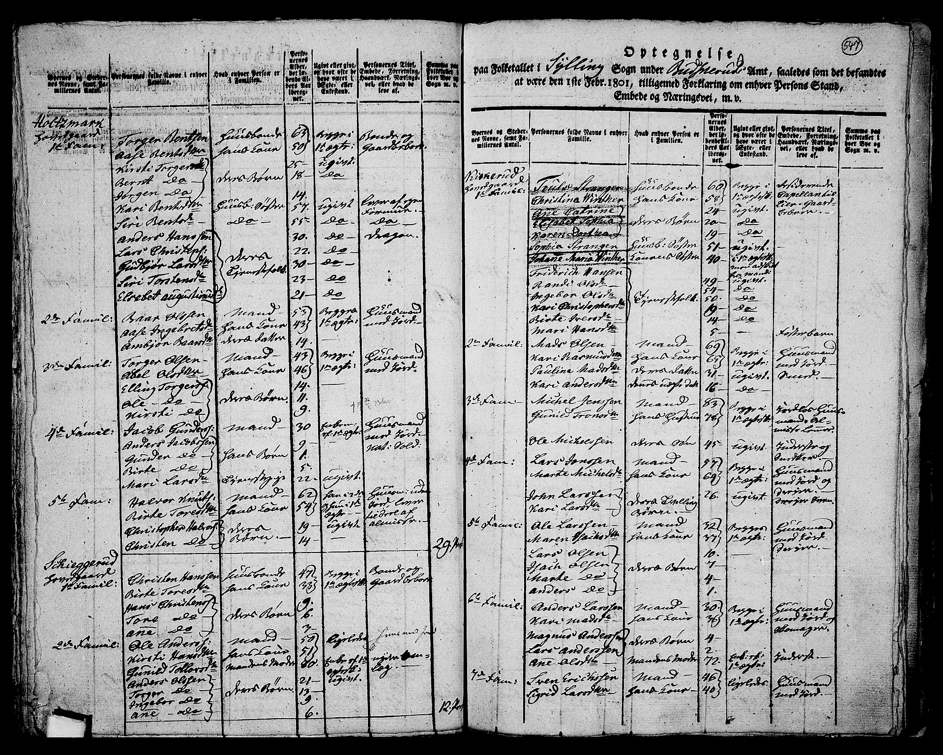 RA, 1801 census for 0626P Lier, 1801, p. 546b-547a