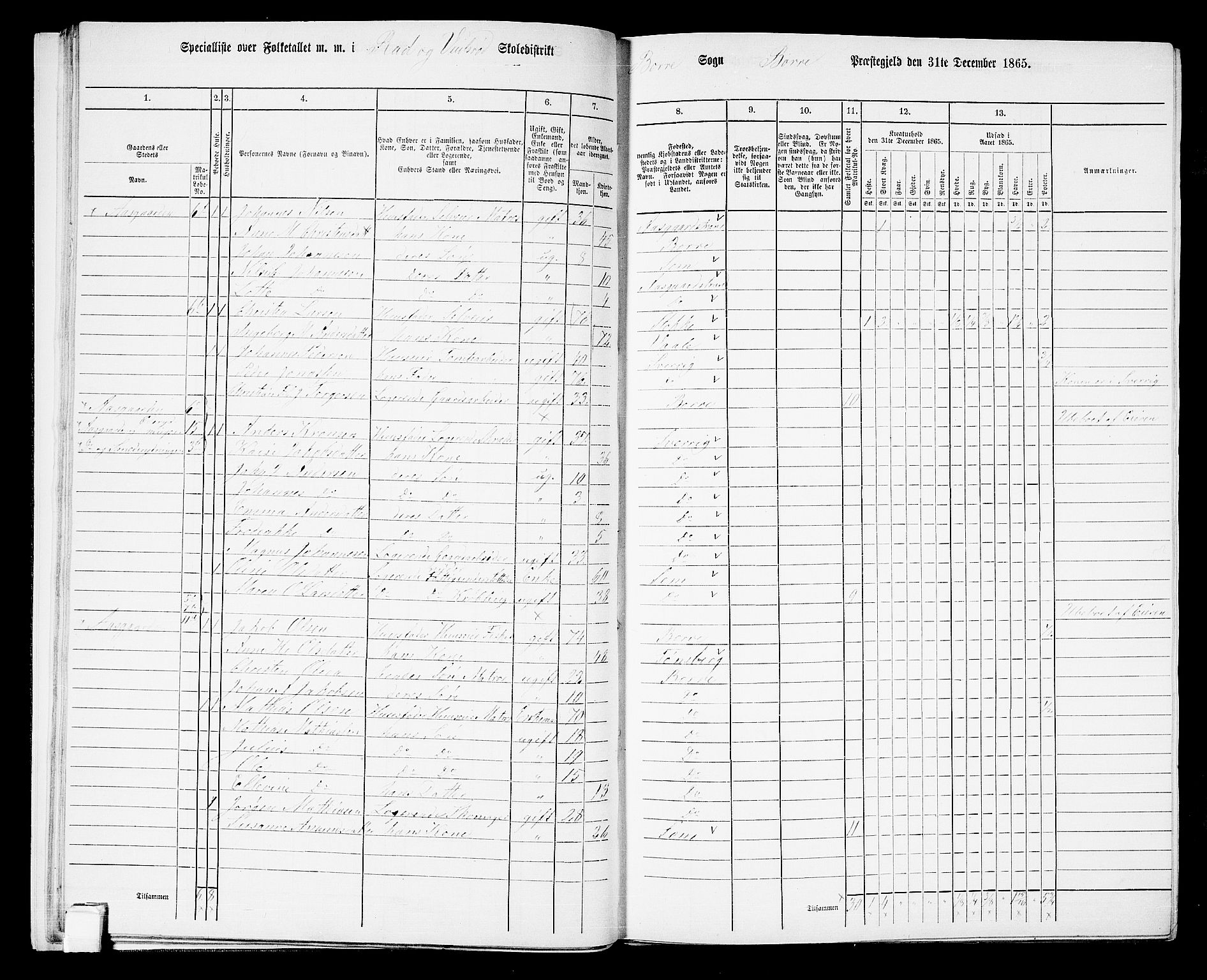 RA, 1865 census for Borre, 1865, p. 41