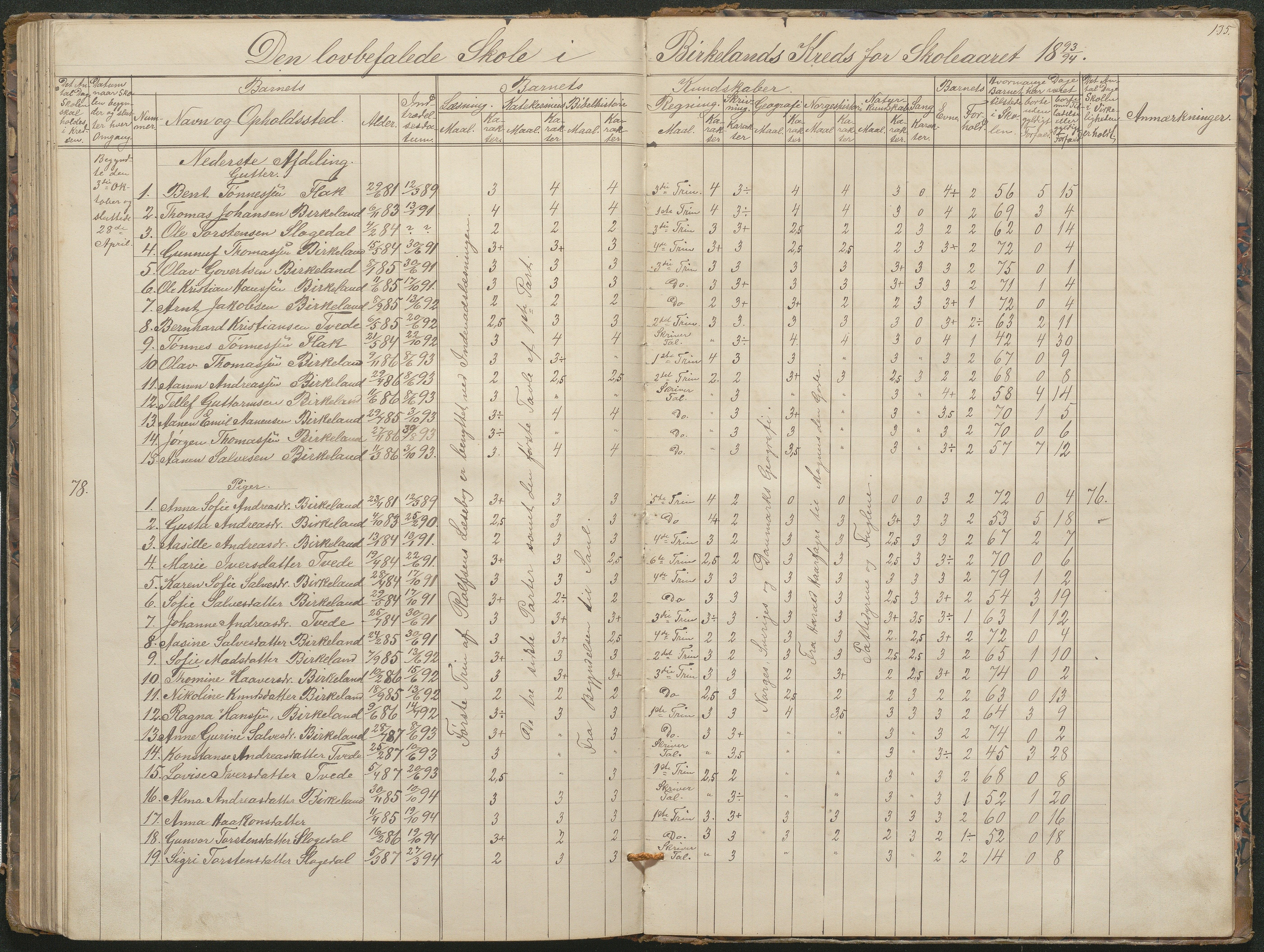 Birkenes kommune, Birkenes krets/Birkeland folkeskole frem til 1991, AAKS/KA0928-550a_91/F02/L0001: Skoleprotokoll, 1862-1896, p. 135