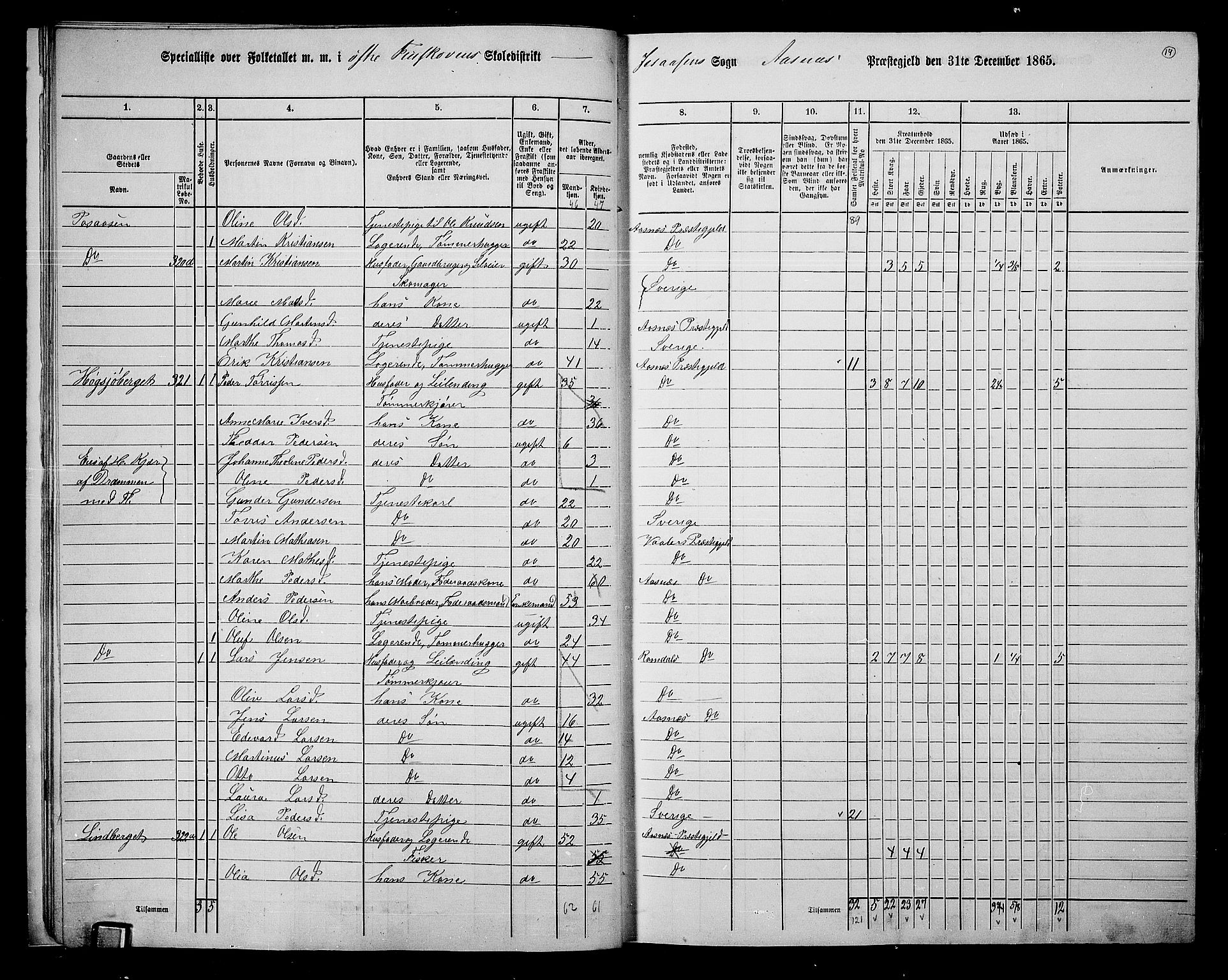 RA, 1865 census for Åsnes, 1865, p. 16