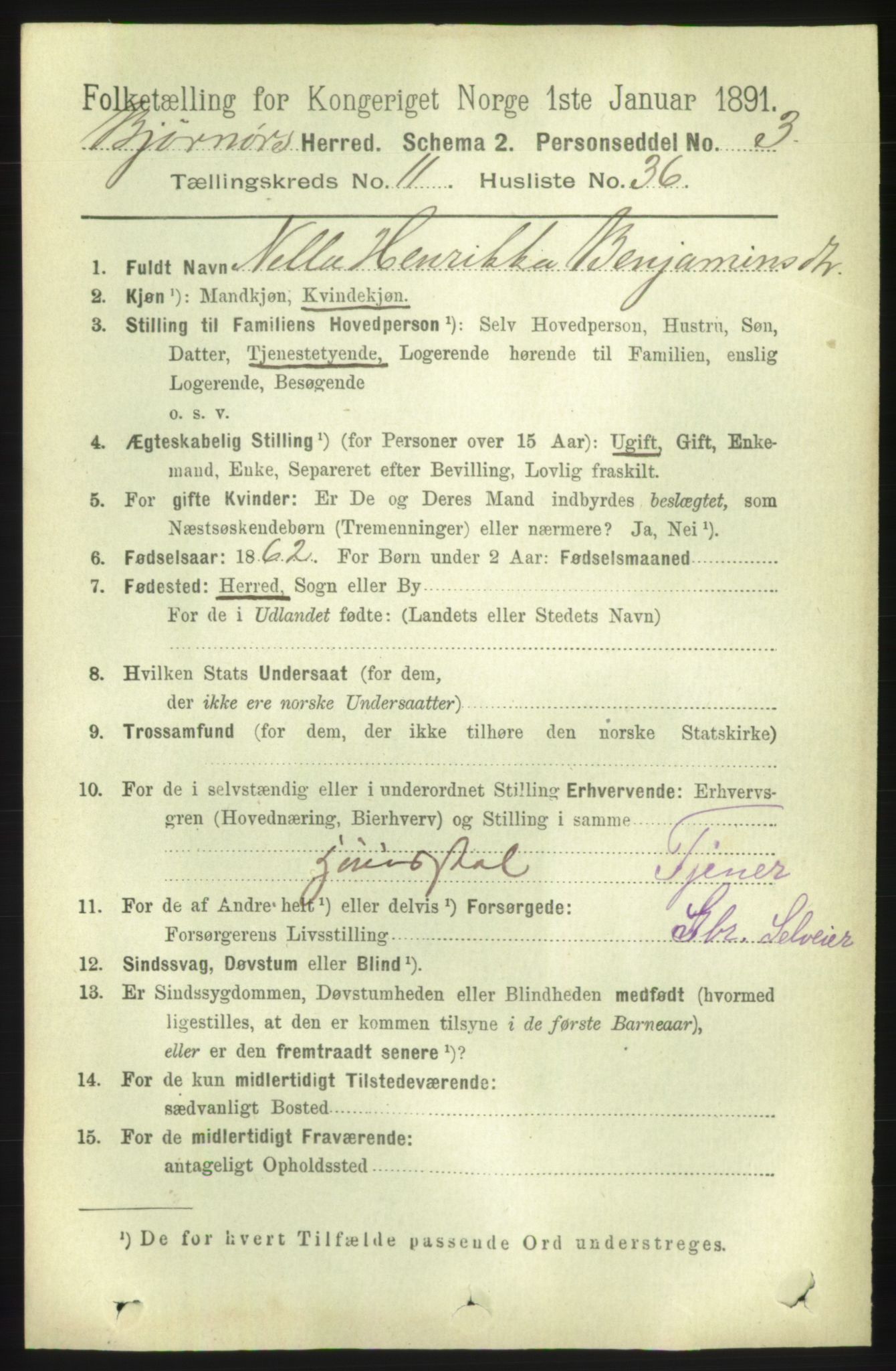 RA, 1891 census for 1632 Bjørnør, 1891, p. 4911