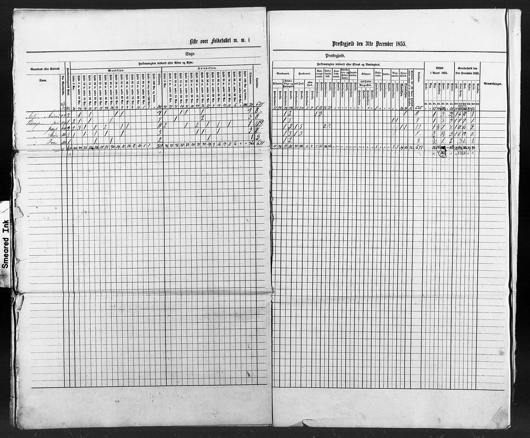 SAT, Census 1855 for Borgund, 1855, p. 117