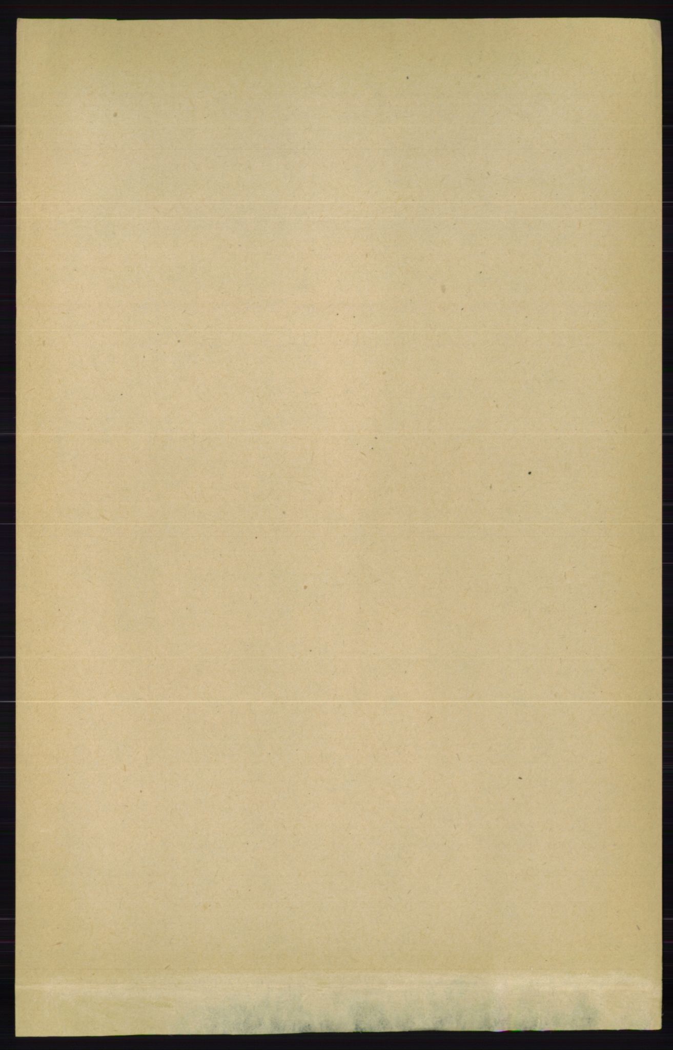 RA, 1891 census for 0834 Vinje, 1891, p. 919