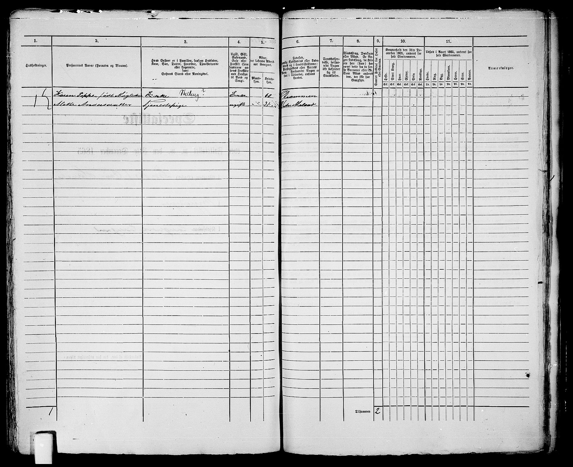 RA, 1865 census for Vestre Moland/Lillesand, 1865, p. 308