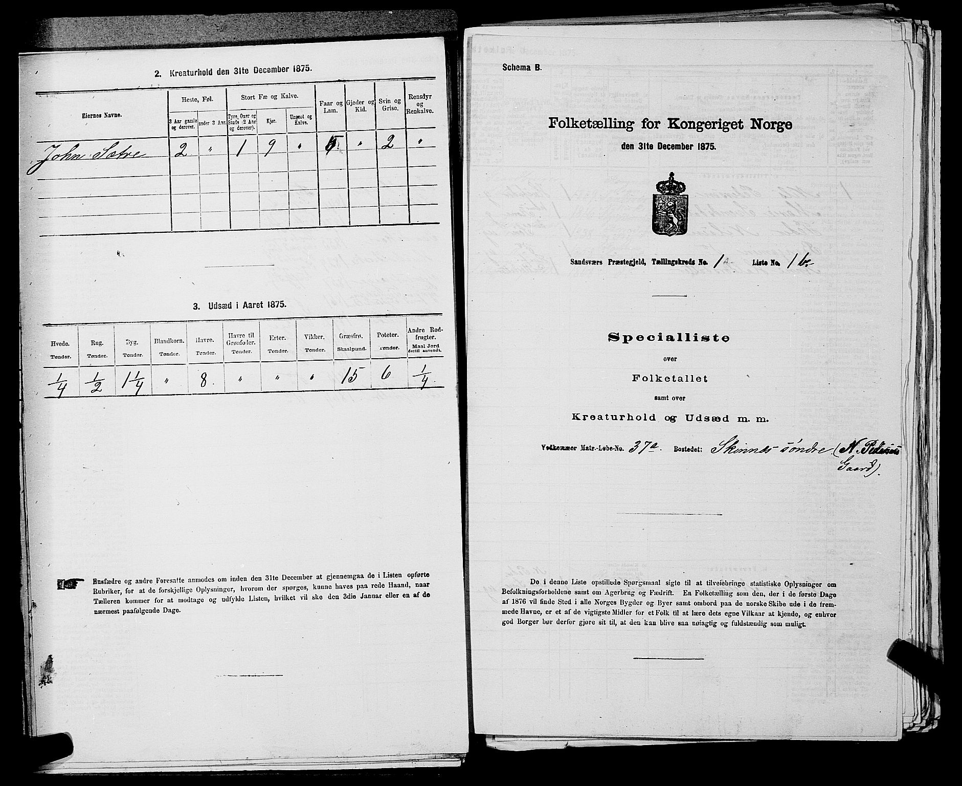 SAKO, 1875 census for 0629P Sandsvær, 1875, p. 302