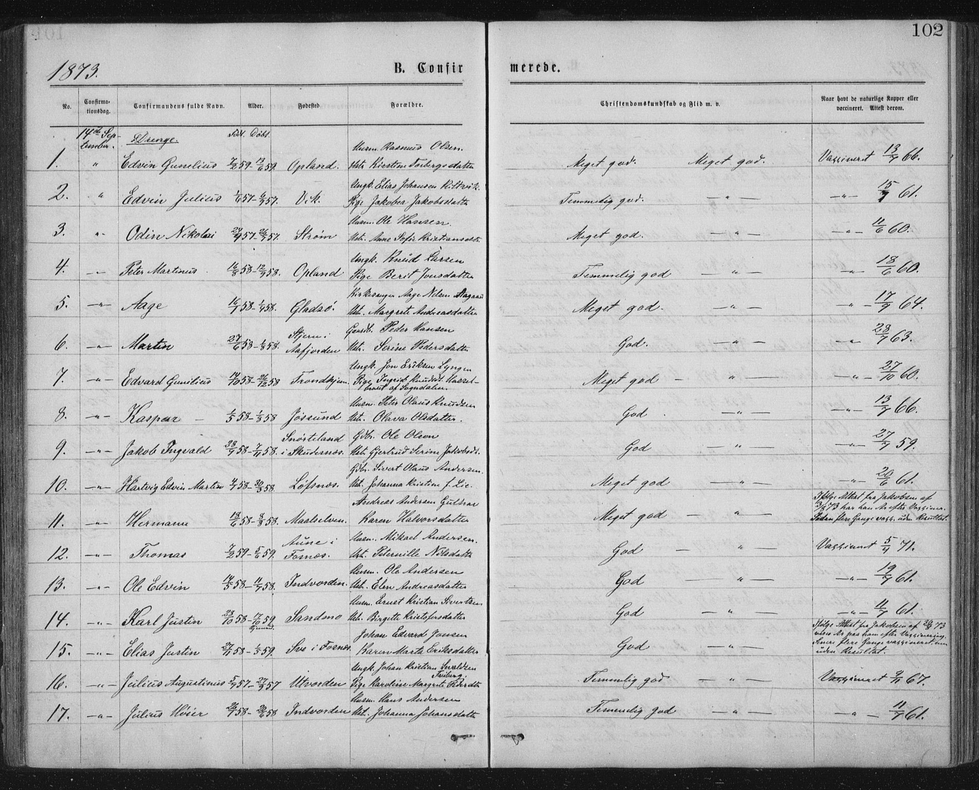 Ministerialprotokoller, klokkerbøker og fødselsregistre - Nord-Trøndelag, SAT/A-1458/771/L0596: Parish register (official) no. 771A03, 1870-1884, p. 102