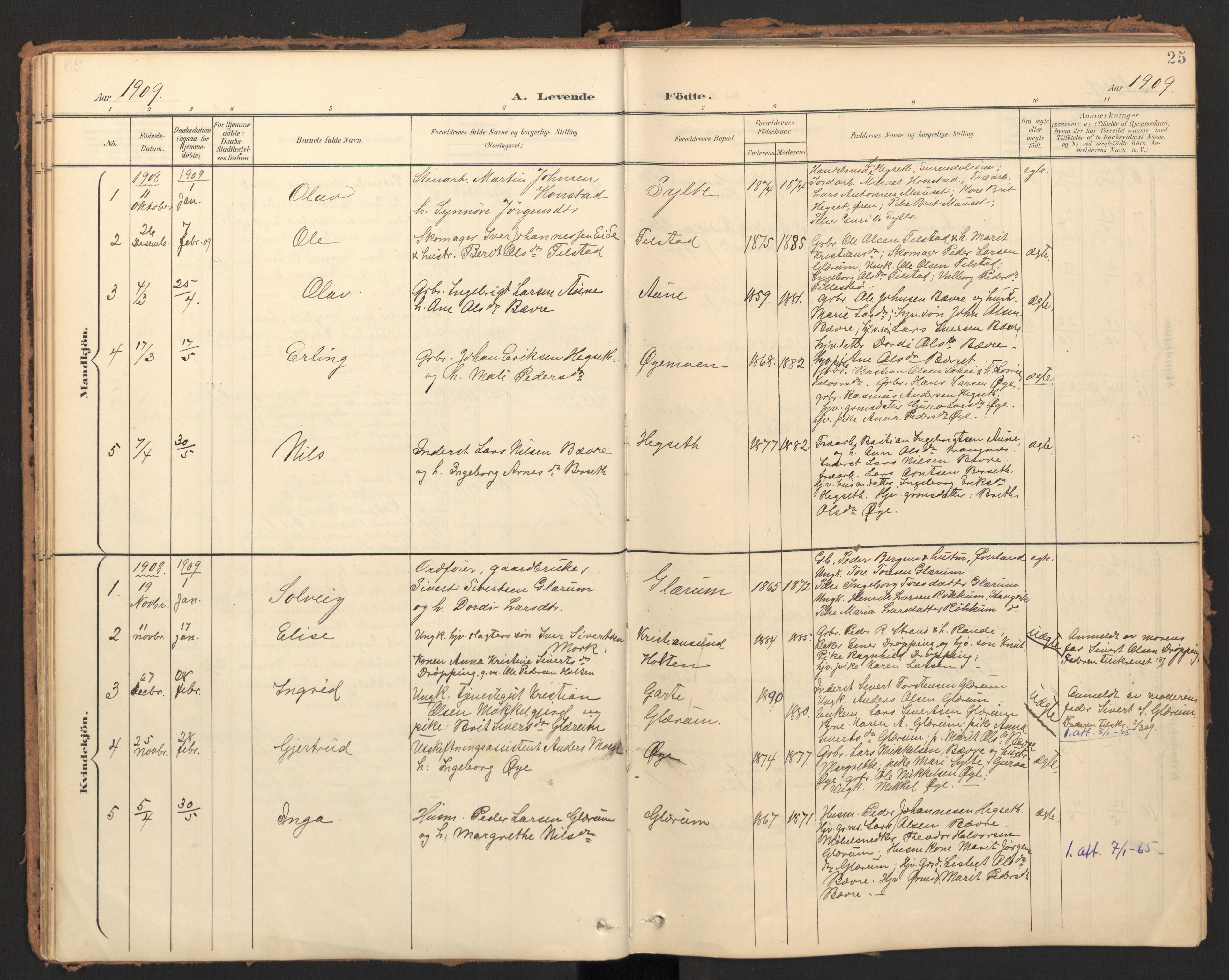 Ministerialprotokoller, klokkerbøker og fødselsregistre - Møre og Romsdal, AV/SAT-A-1454/595/L1048: Parish register (official) no. 595A10, 1900-1917, p. 25