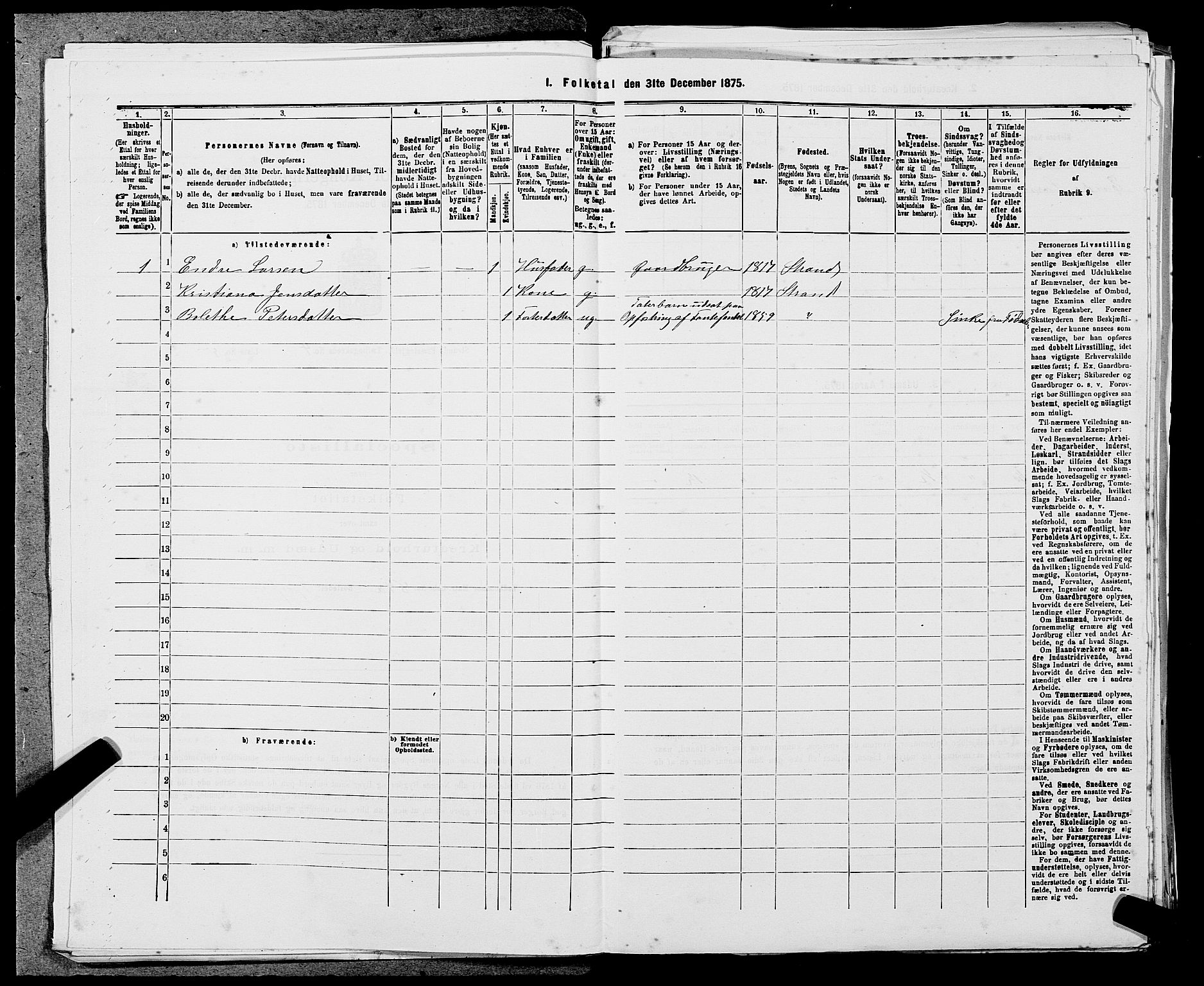 SAST, 1875 census for 1130P Strand, 1875, p. 347