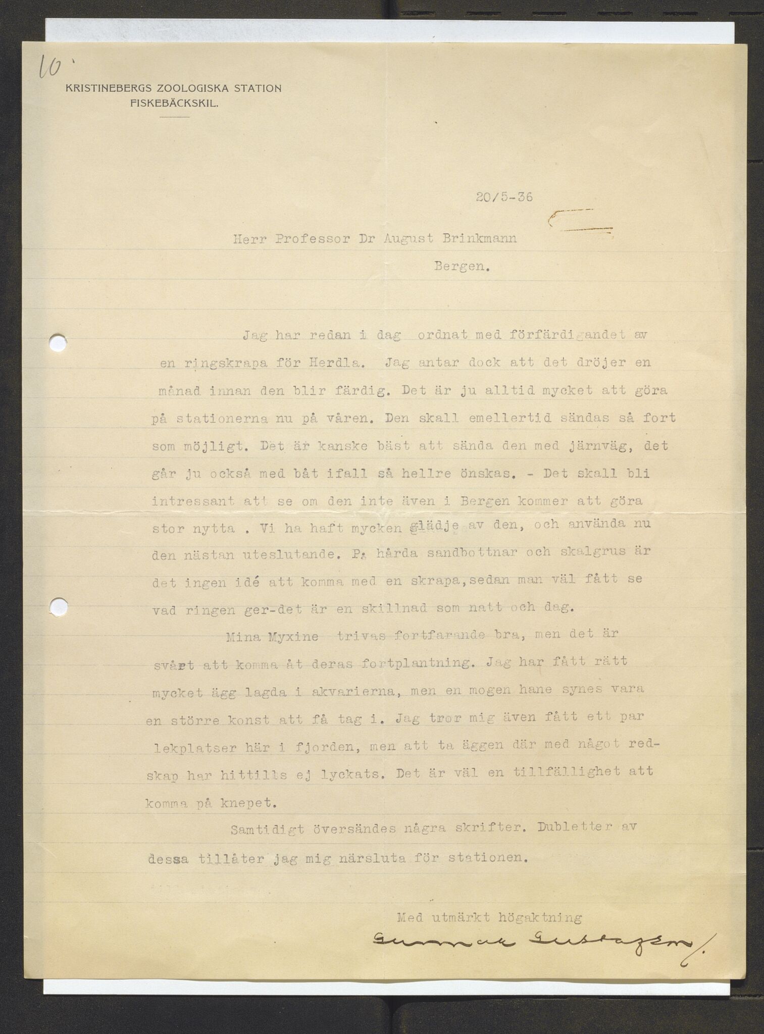 Bergens Museum, AV/SAB-A-17301/13/D/L0002: Korrespondanse , 1928-1940, p. 499