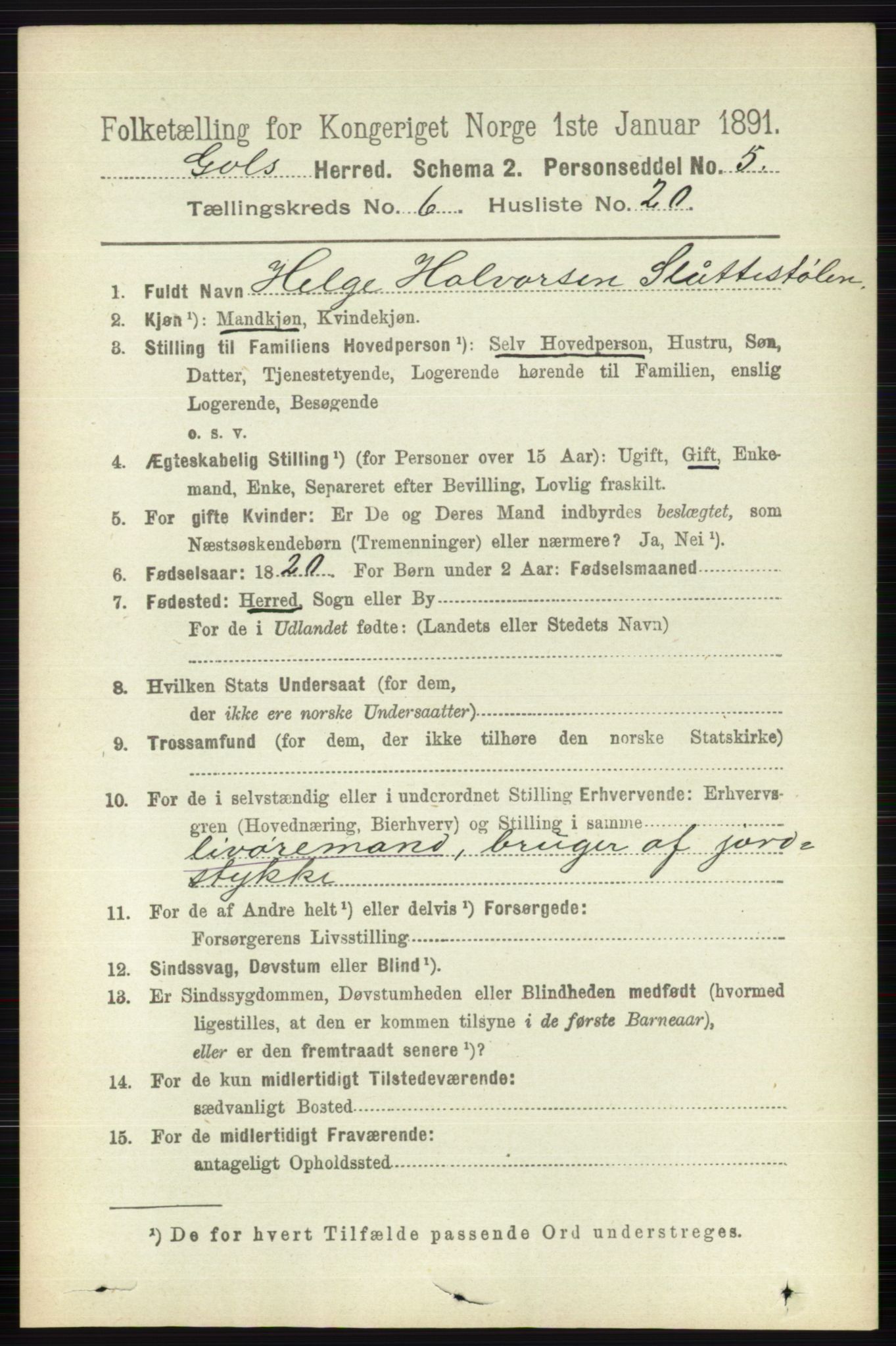 RA, 1891 census for 0617 Gol og Hemsedal, 1891, p. 2517