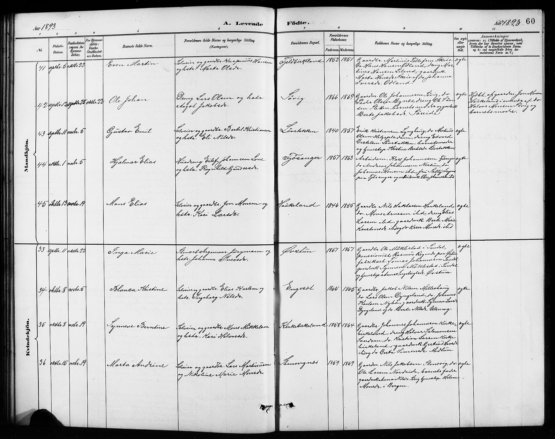 Birkeland Sokneprestembete, SAB/A-74601/H/Hab: Parish register (copy) no. A 4, 1888-1897, p. 60
